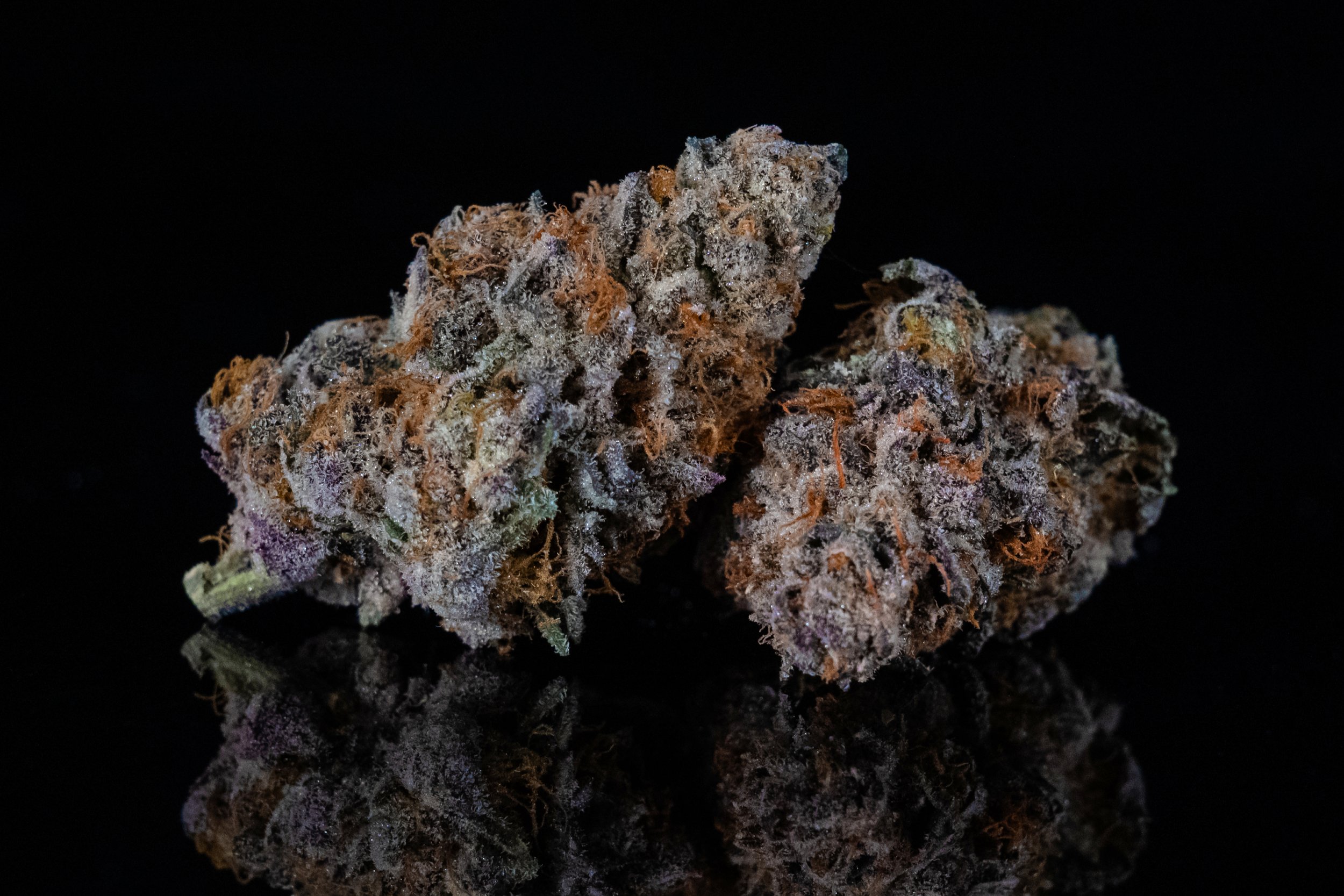 Crash Glow Indica Hybrid