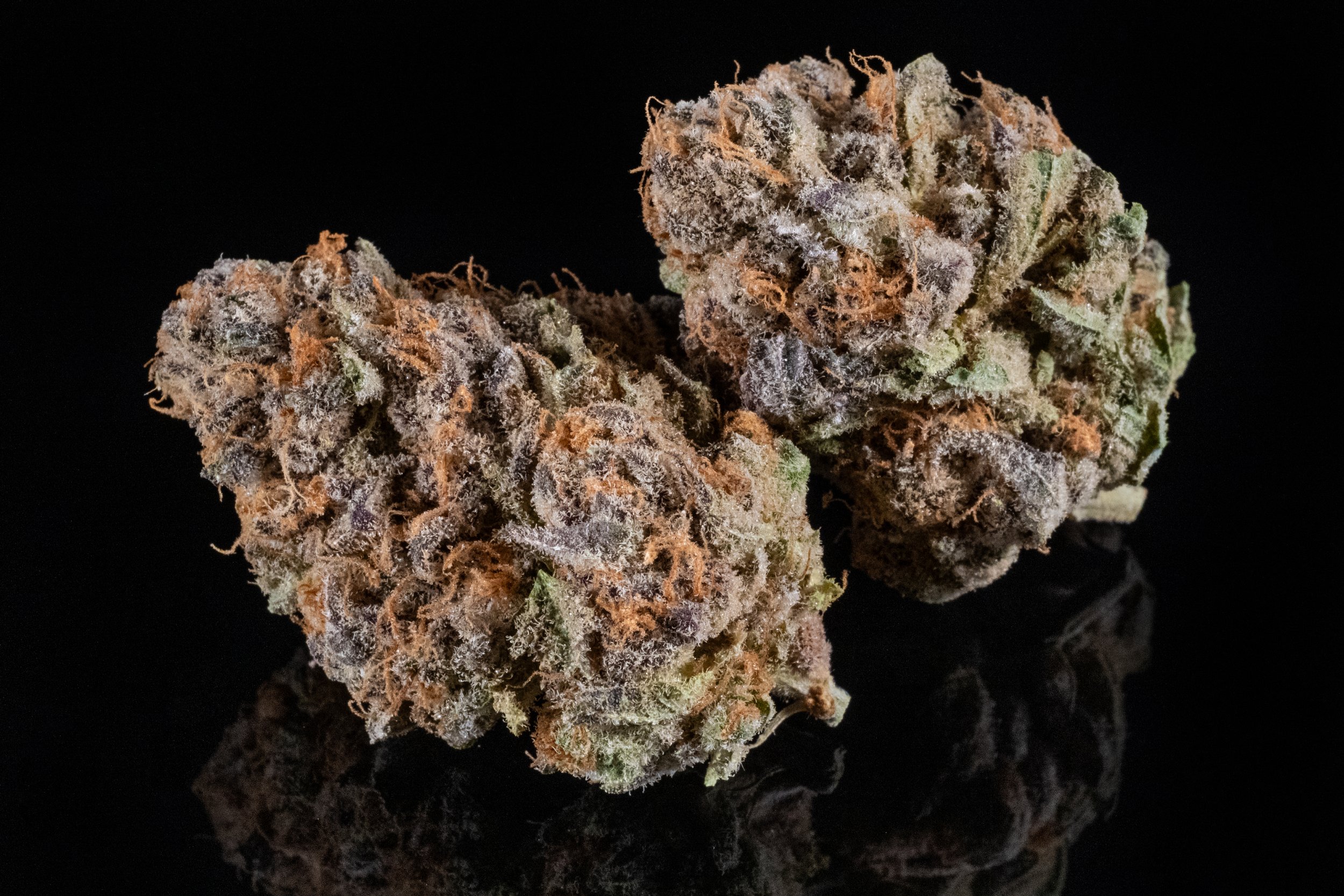 Sour Punch Sativa Hybrid