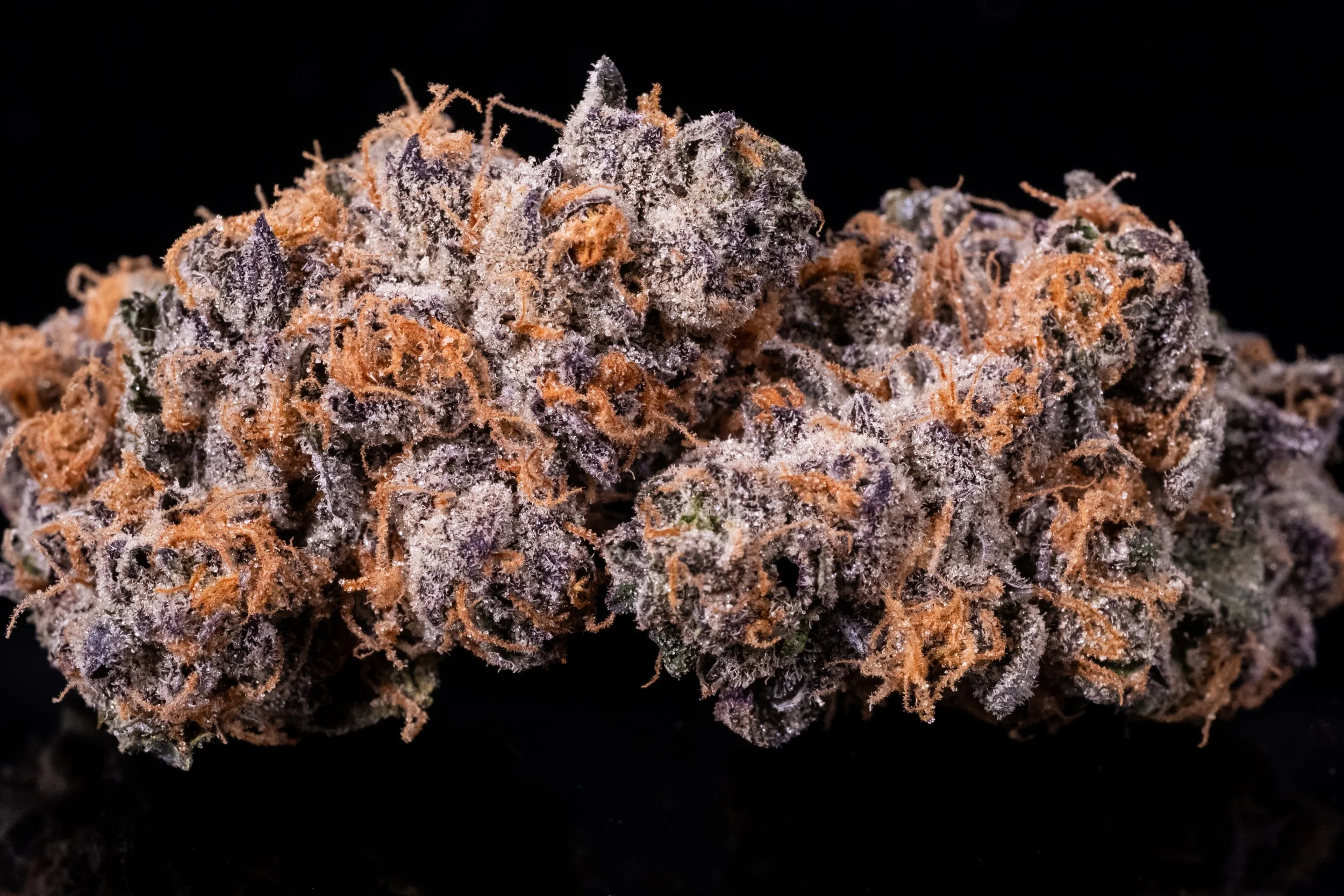 Dirty Macchiato sativa hybrid