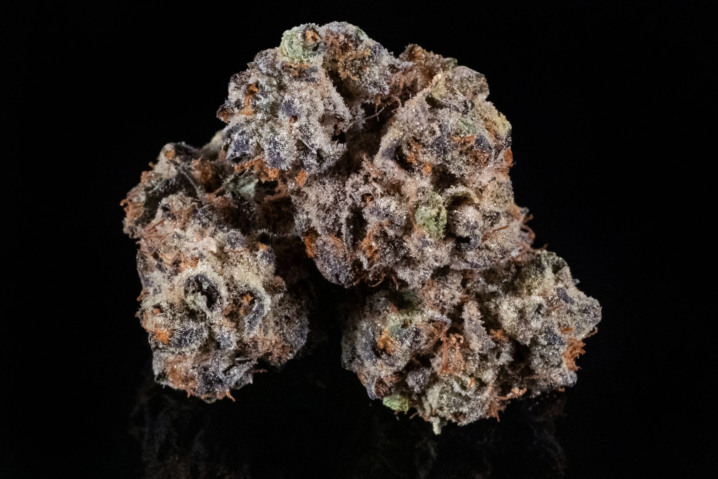 Triple Burger Indica