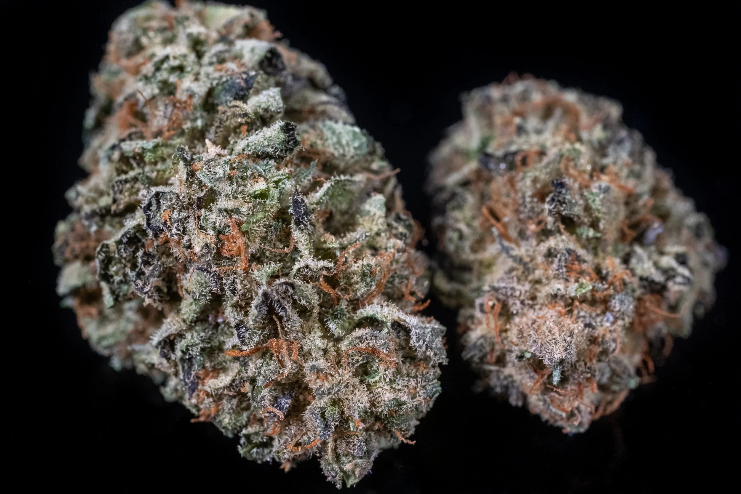 Soap sativa hybrid