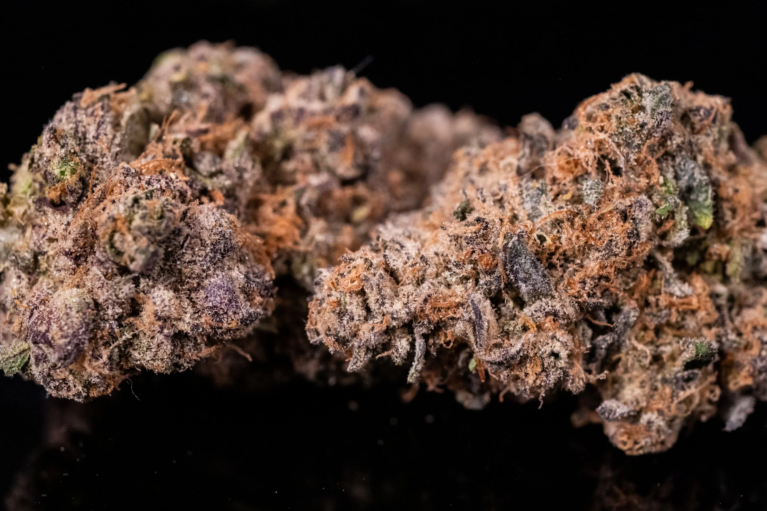 Bosscotti sativa hybrid