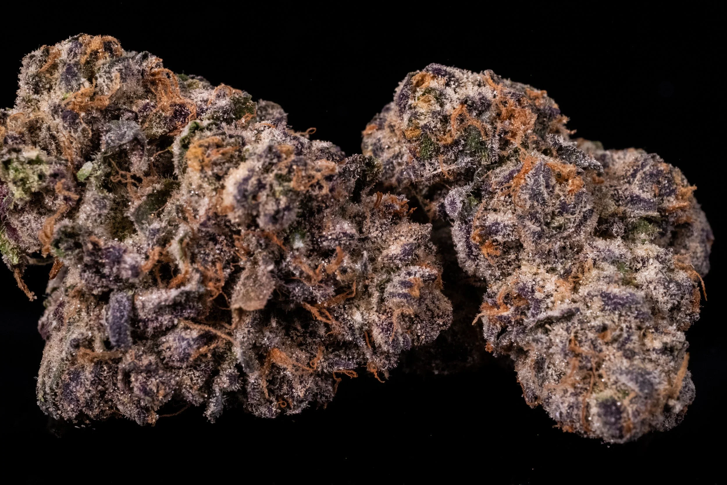Sidewalk Crack sativa