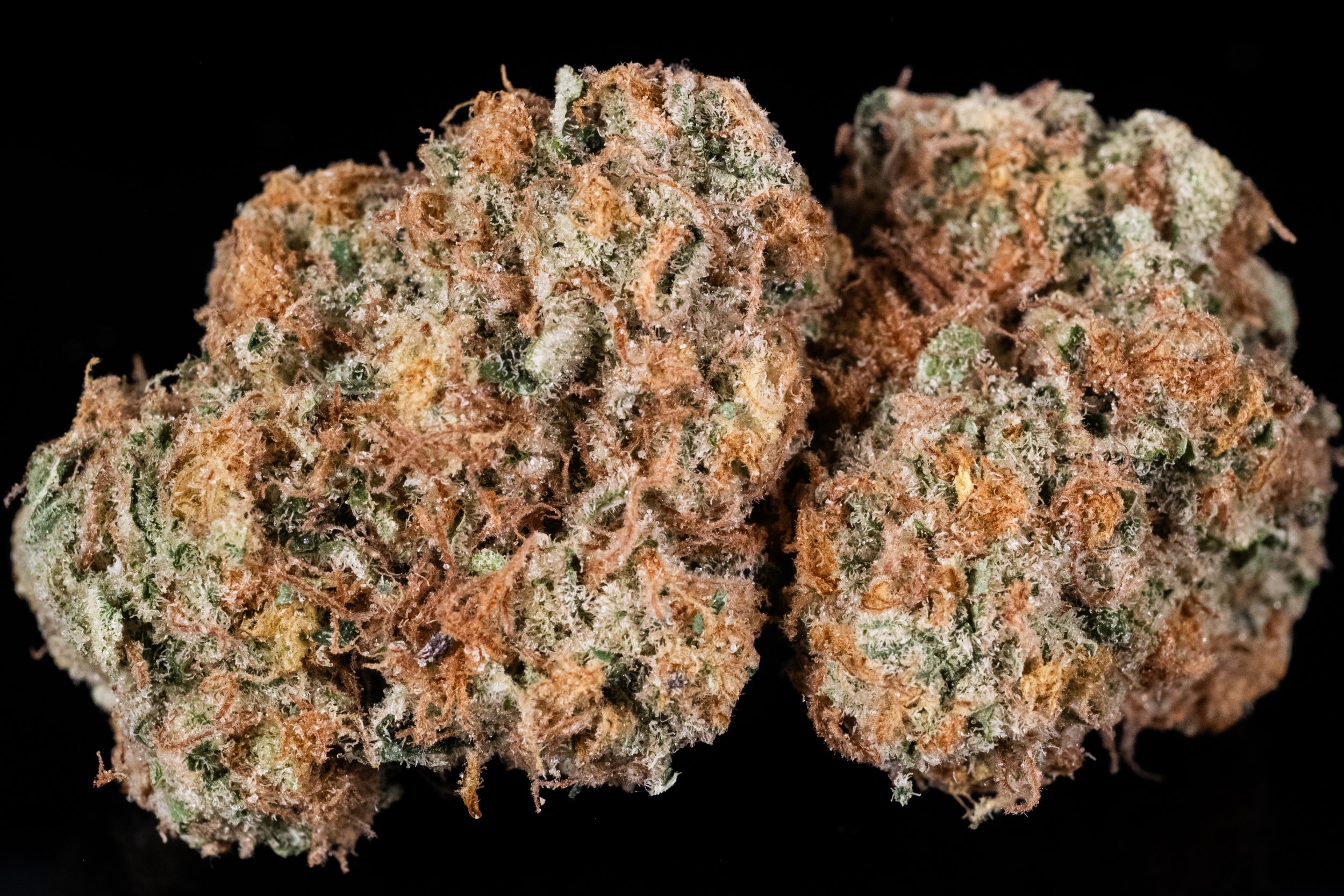 London Pound Cake indica