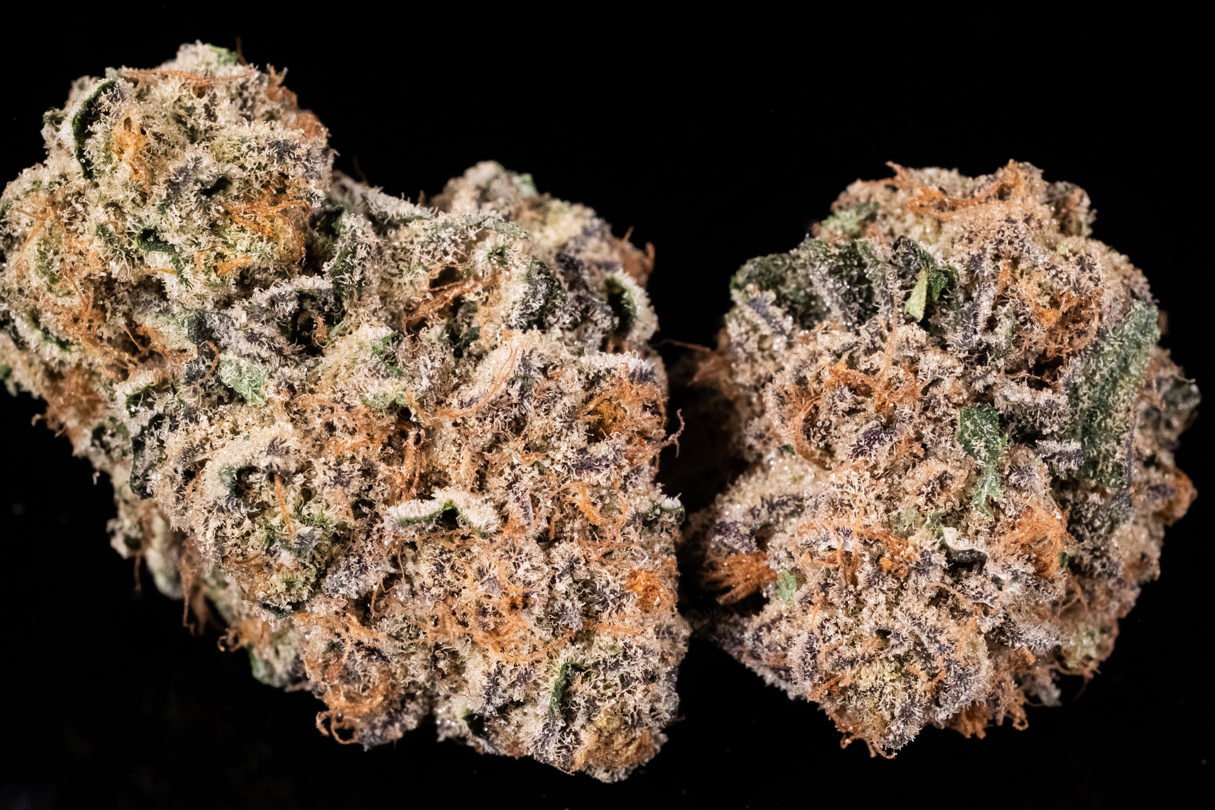 Blueberry Waffles indica hybrid