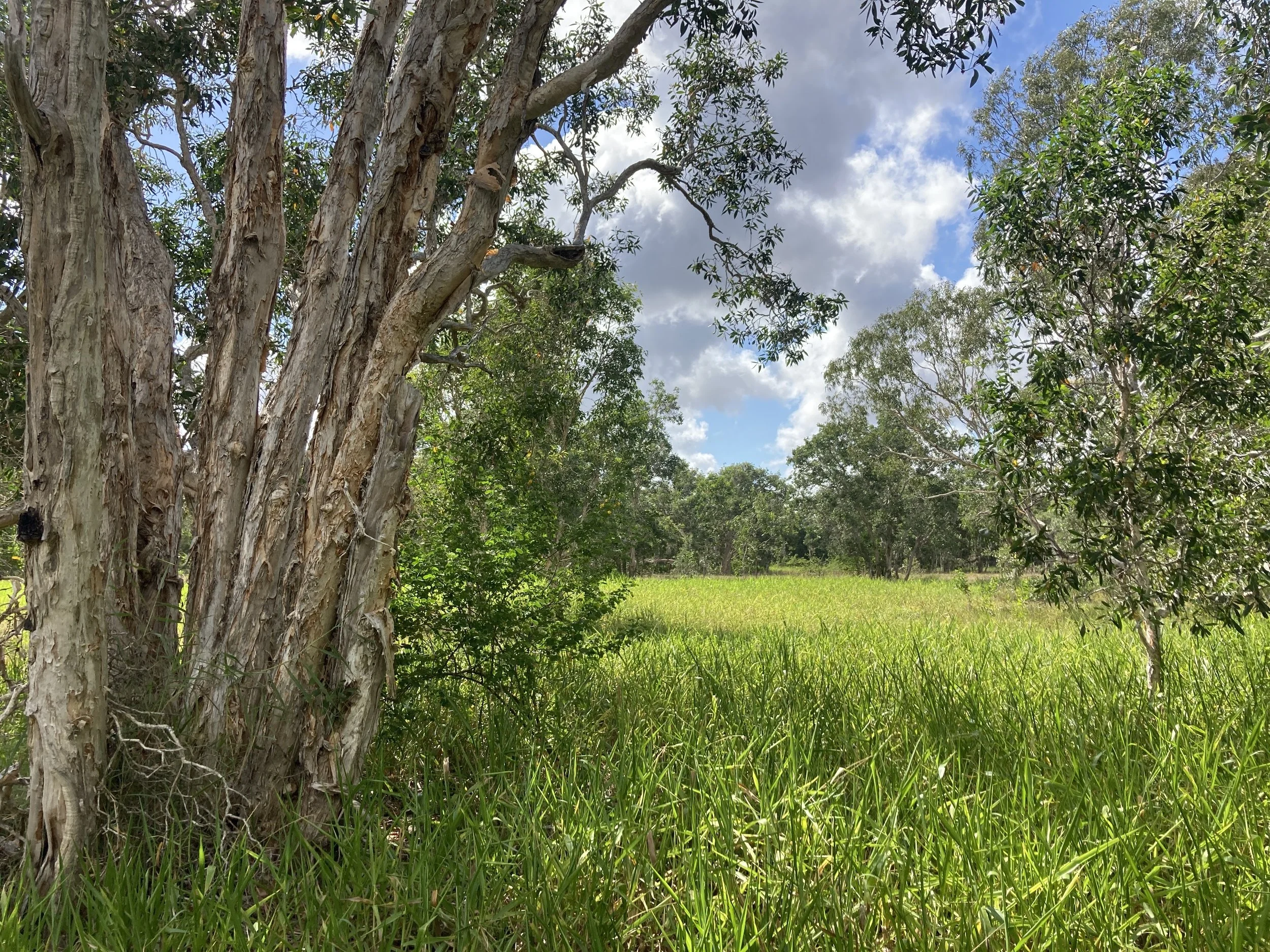 Healing mixing water Country