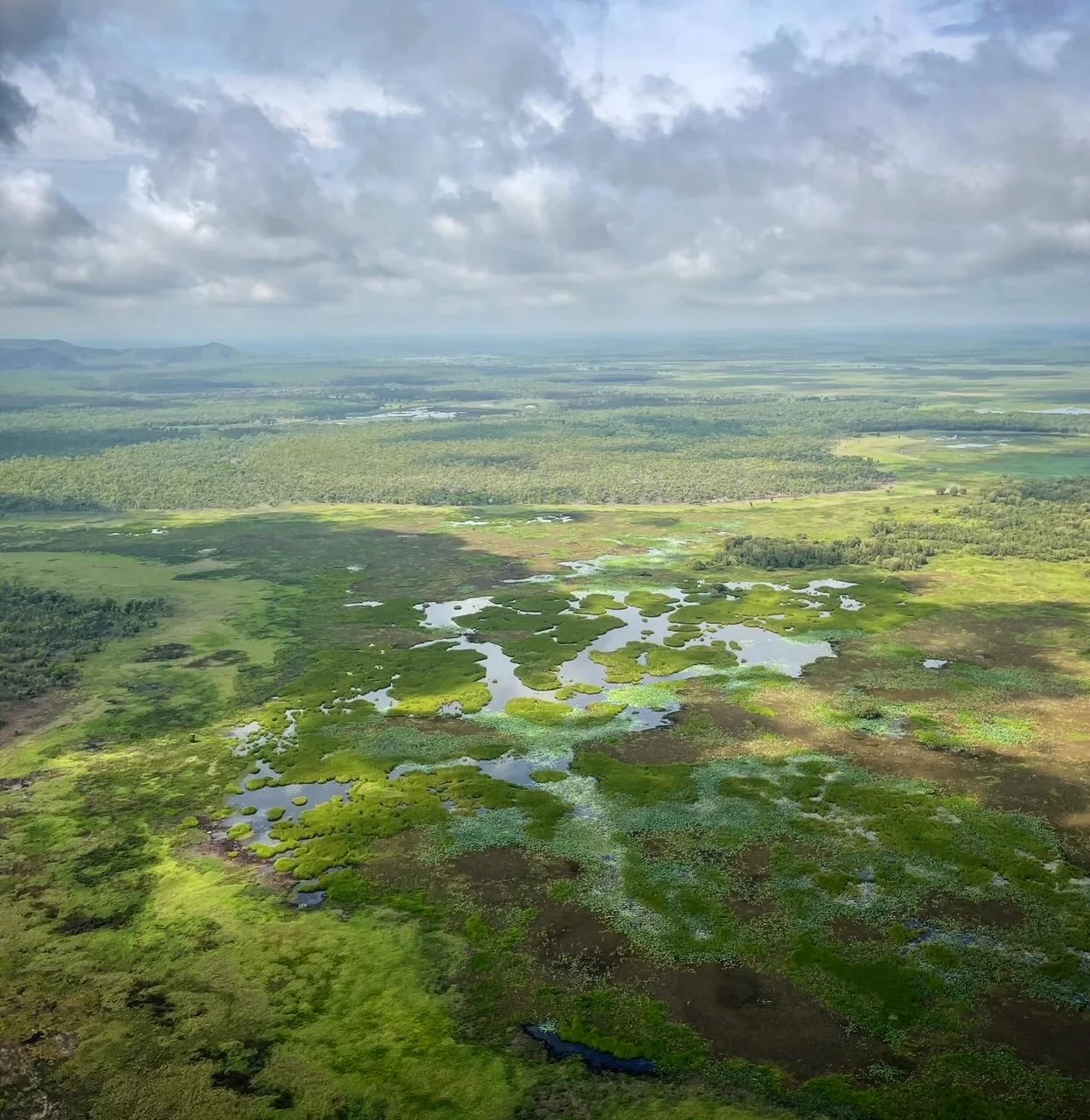 Nature repair for northern wetlands