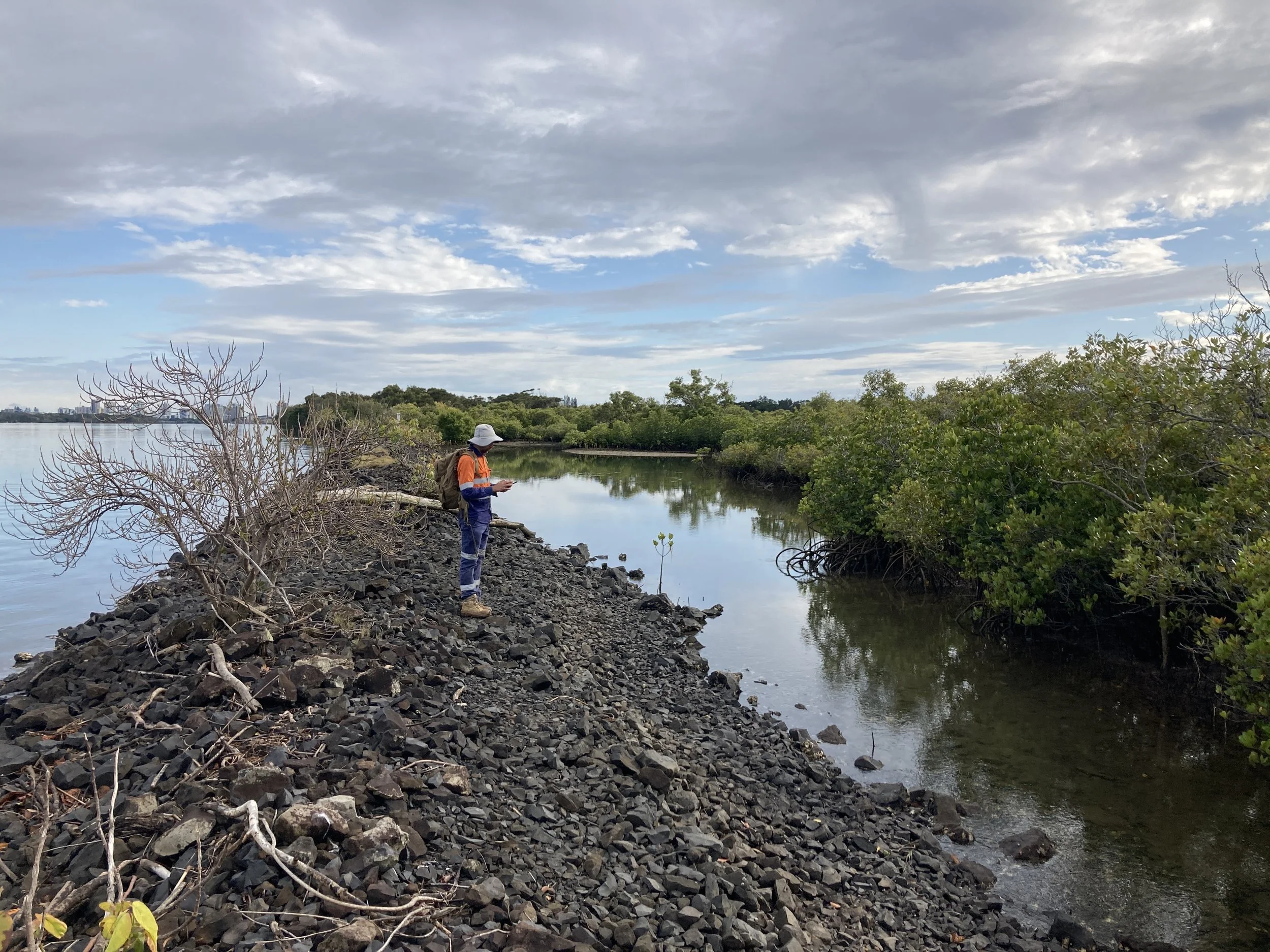 A person dressed in outdoor clothing, wearing a hat, standing on a rocky shoreline by a body of water and looking at their phone, with lush green bushes and trees in the background under a partly cloudy sky.