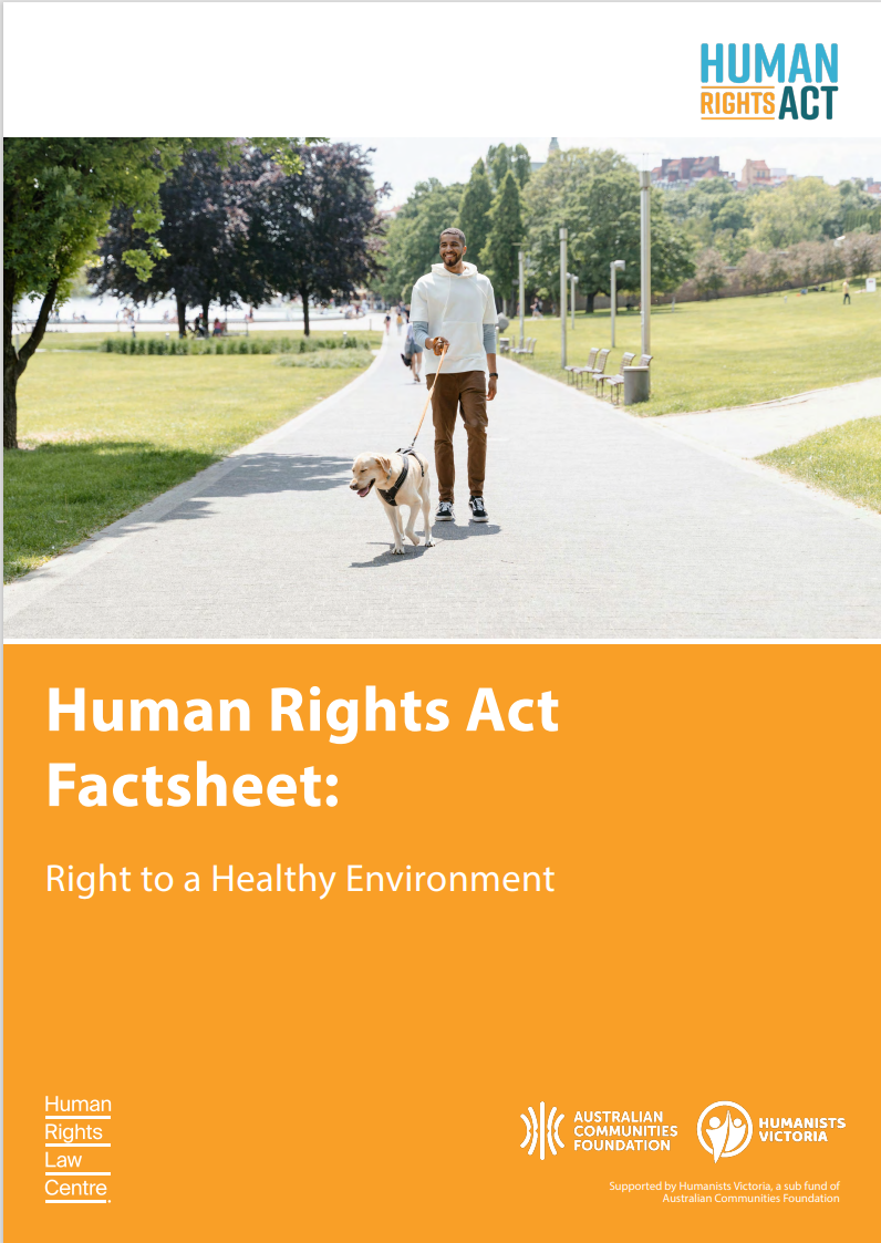 Right to healthy environment factsheet