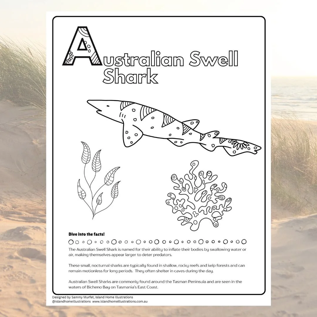 website photos (61).jpg