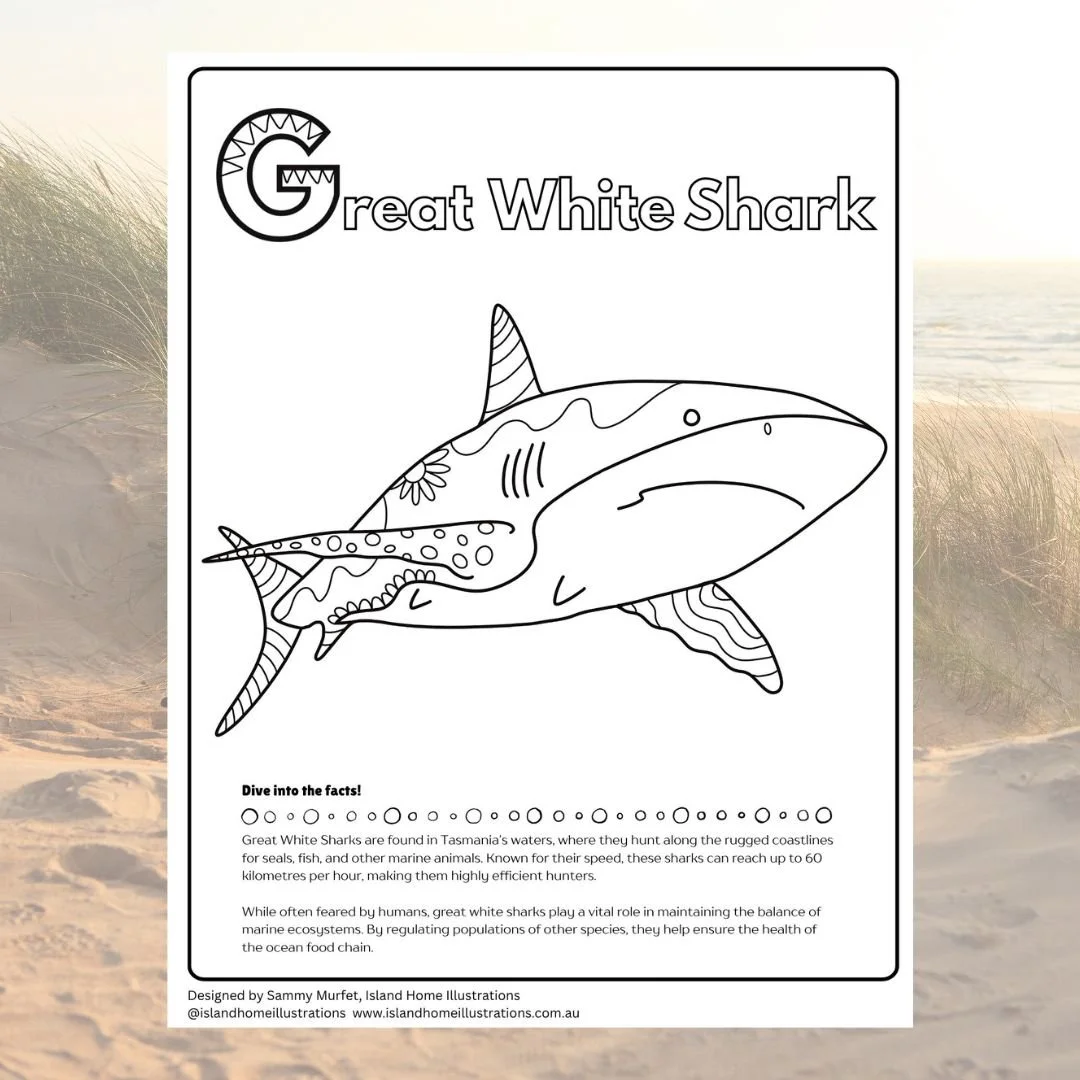 Tasmanian Sea Life Colouring Book - Sample Pages