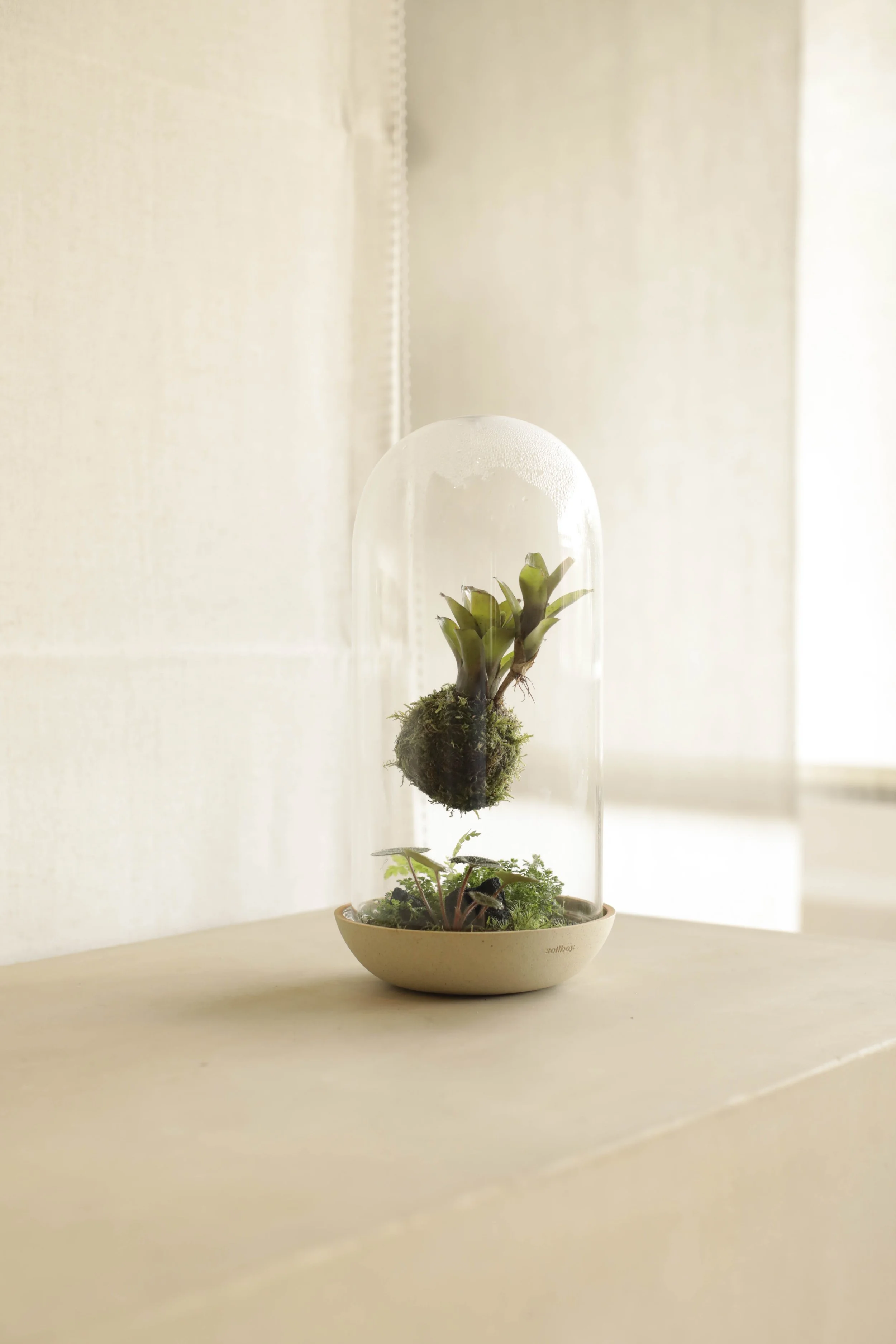 TTC_0010 - Soilboy.jpg