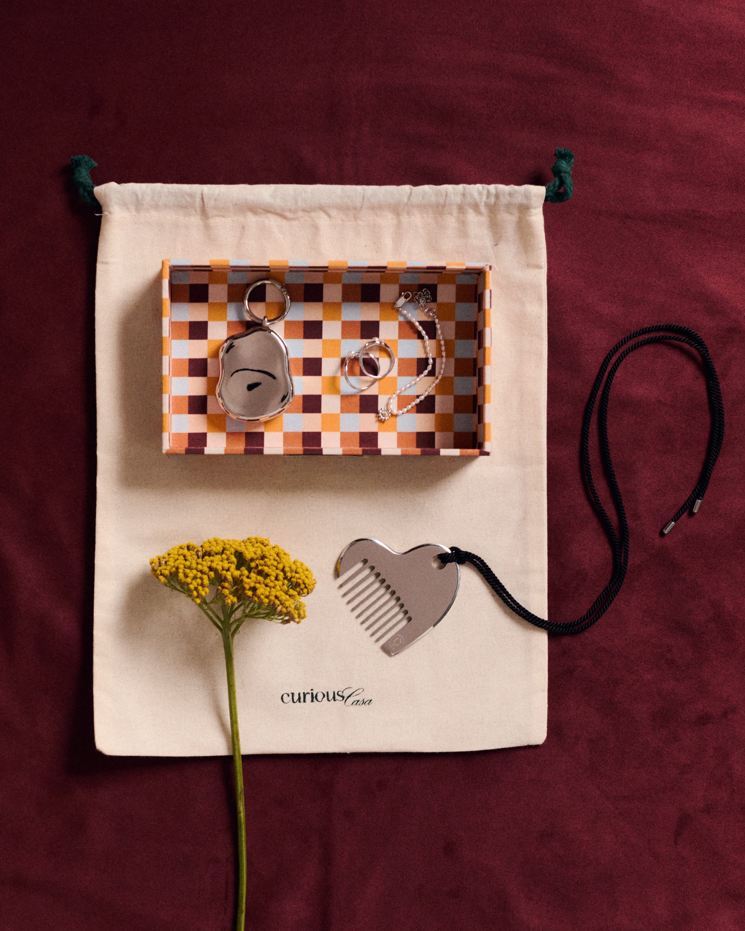 Curious Creatures—Curious Casa.jpg