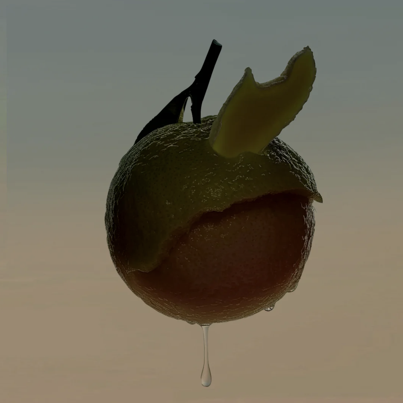 Screenshot 2024-11-11 at 6.10.34 PM.png