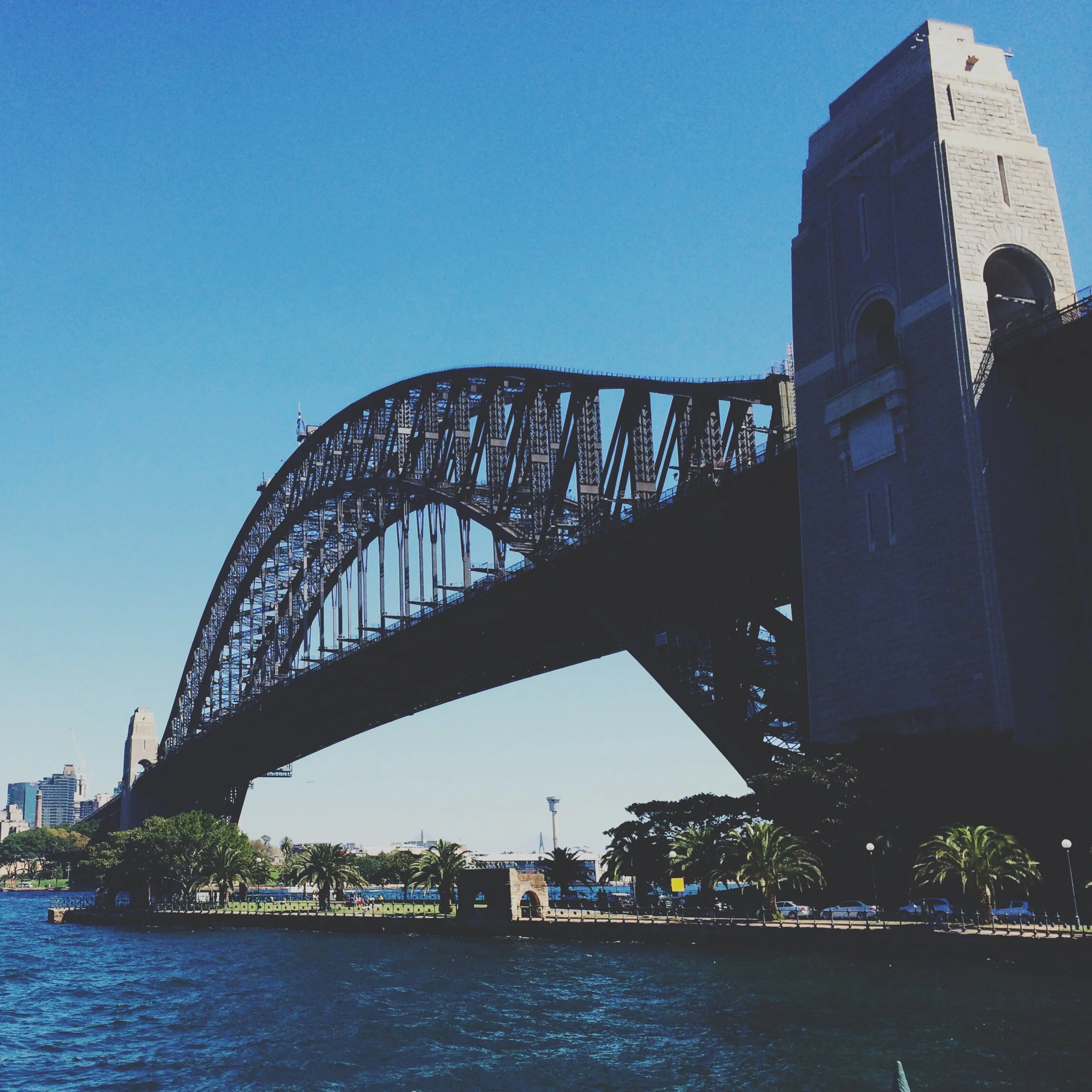 15047133840_1286a29a92_o.jpeg