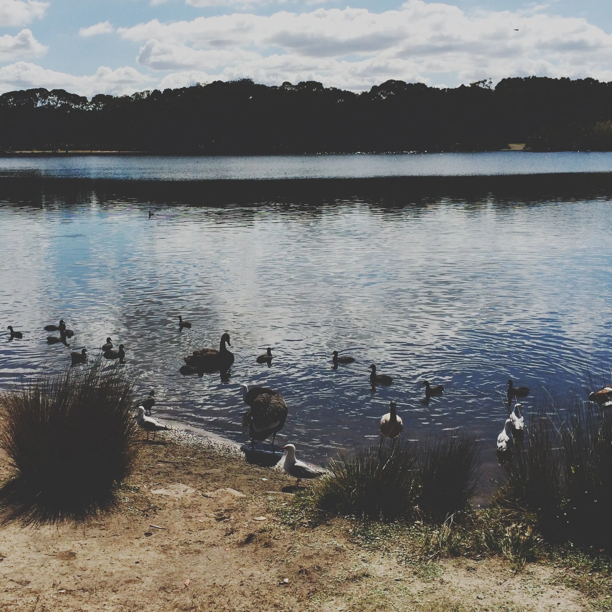 15066247066_72a1f51f0d_o.jpeg