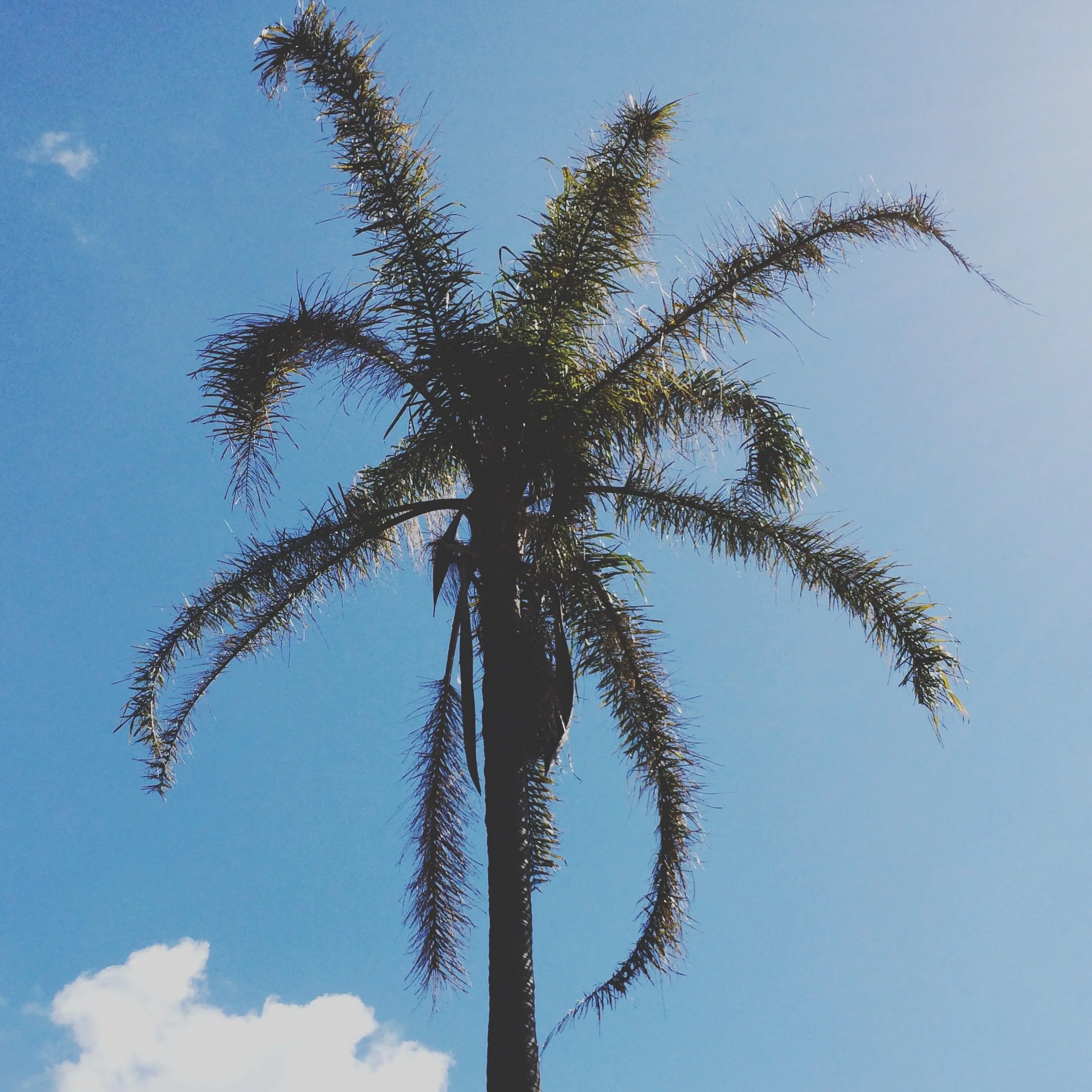 14902620230_197b2340d5_o.jpeg