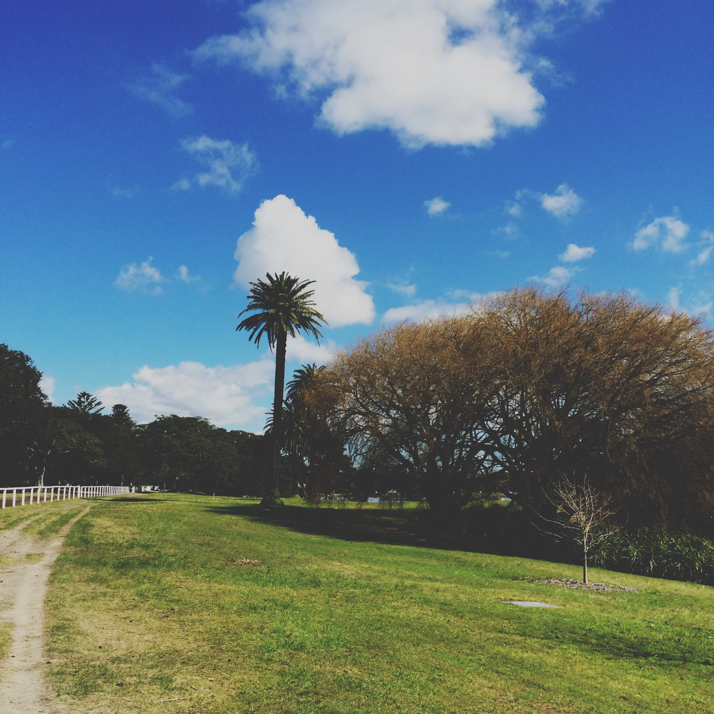 14902637320_c478a585d0_o.jpeg