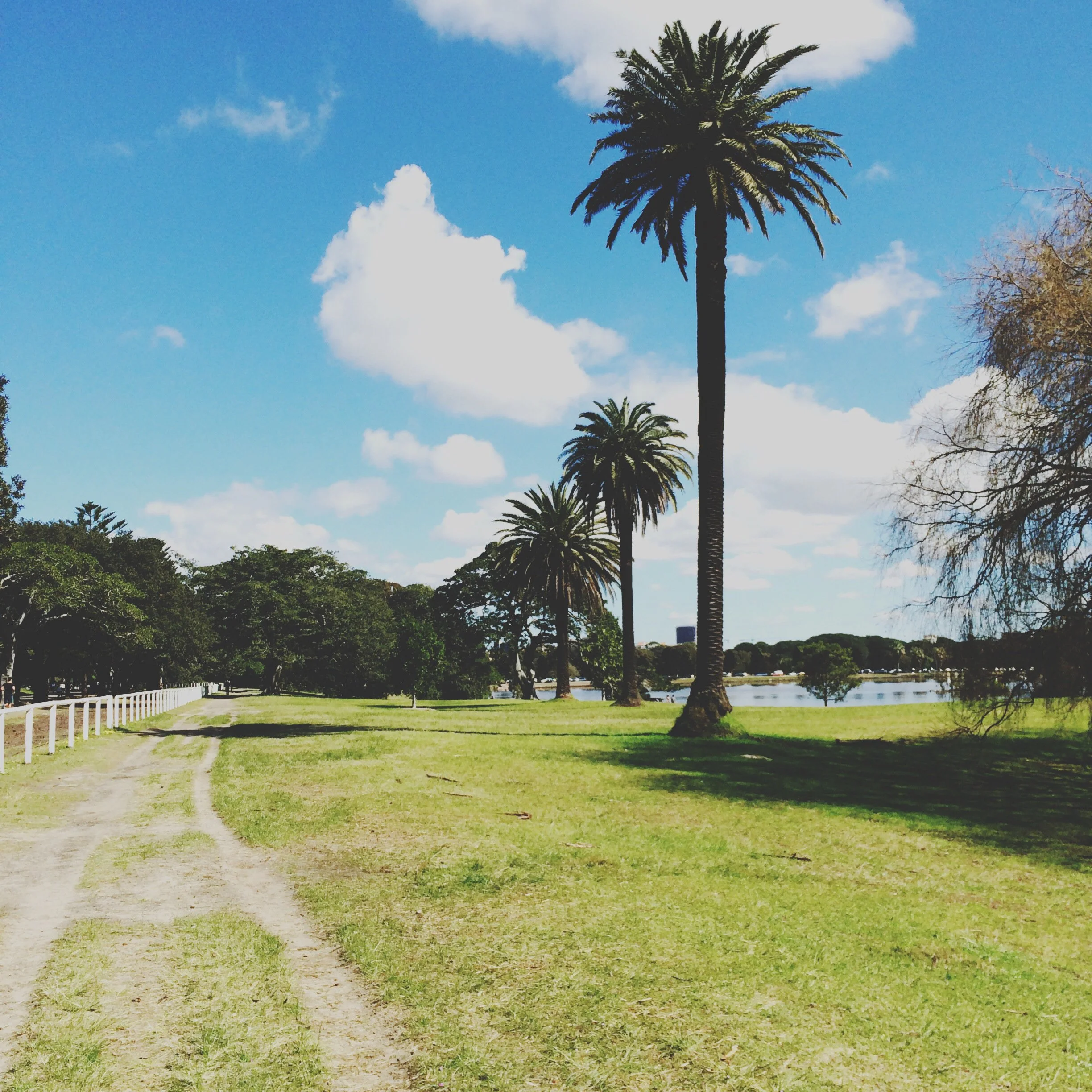 14902705618_a6947a8711_o.jpeg