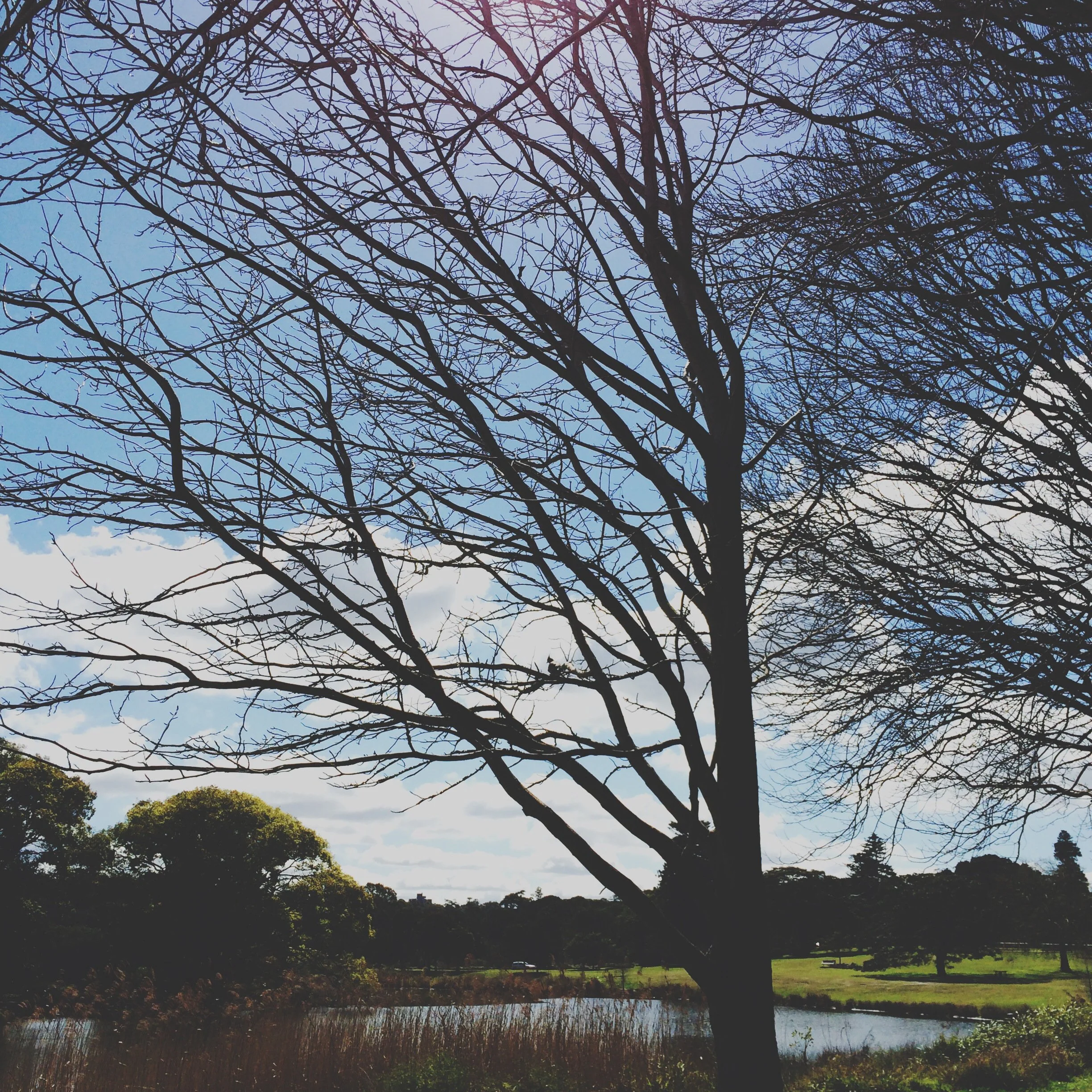 14902801047_8e0a0b7f98_o.jpeg