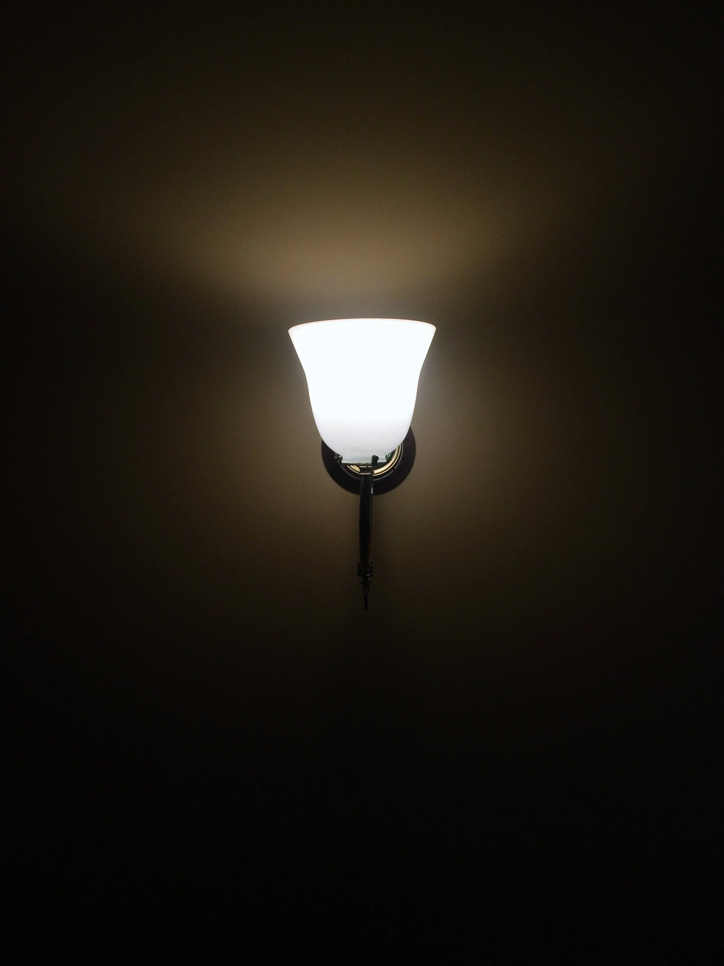 26029131082_459a528f9d_o_VSCO.jpeg