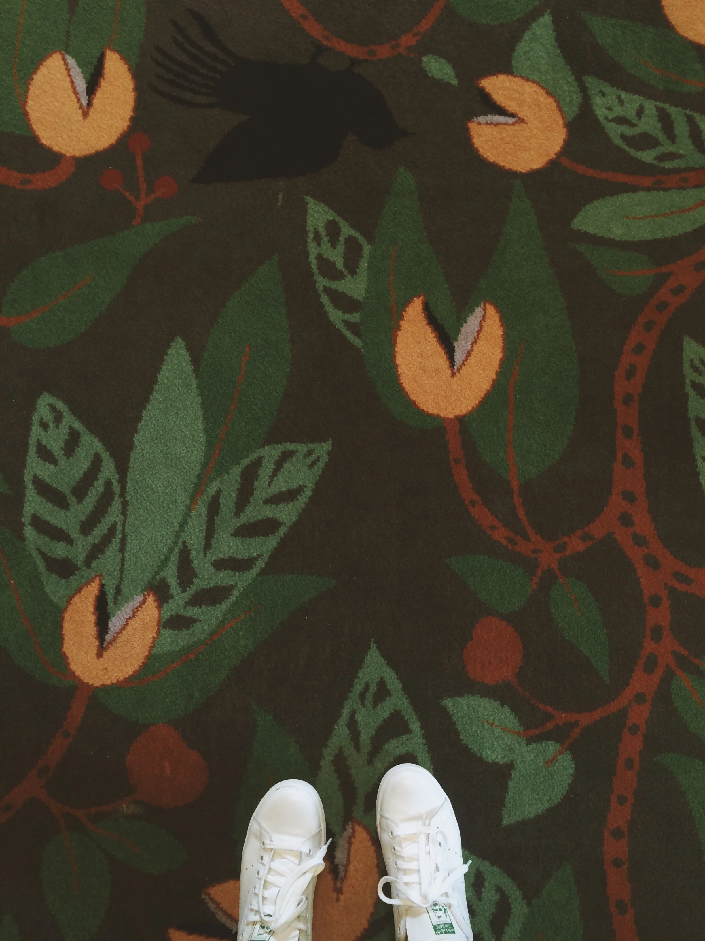25848806010_c9063c6ccd_o_VSCO.jpeg