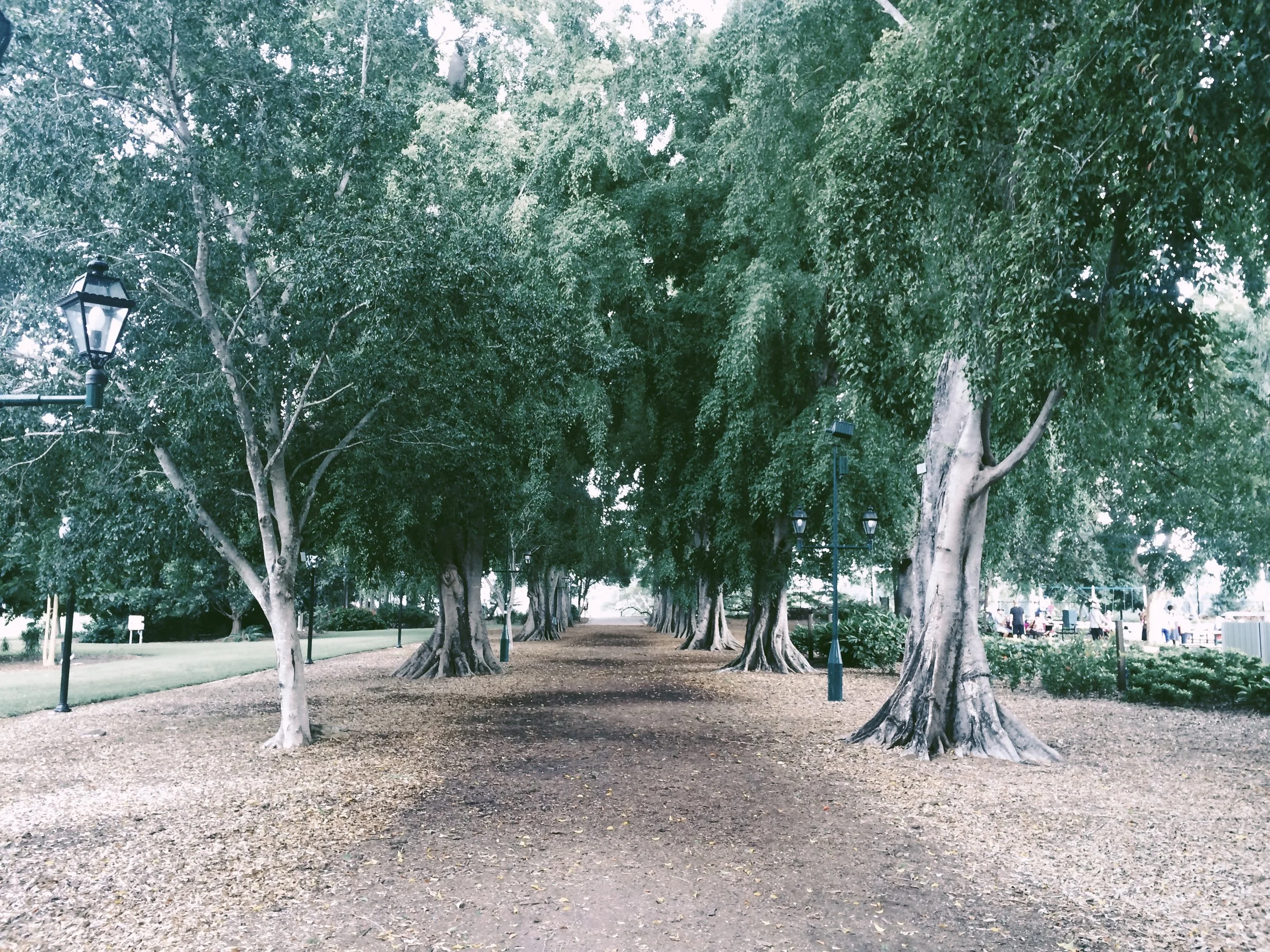 25516916734_a0853c7eb8_o_VSCO.jpeg