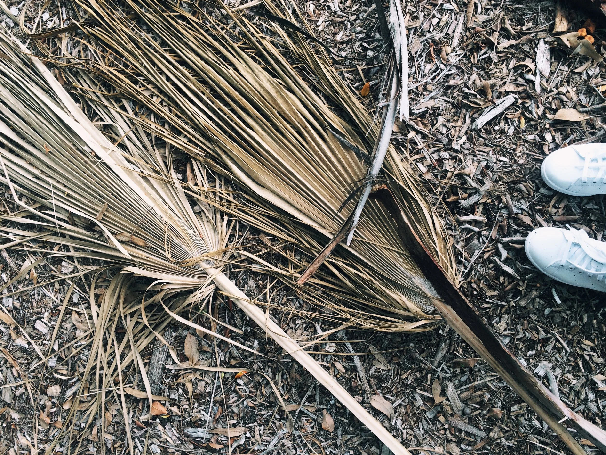 25516909334_db36b3cff2_o_VSCO.jpeg