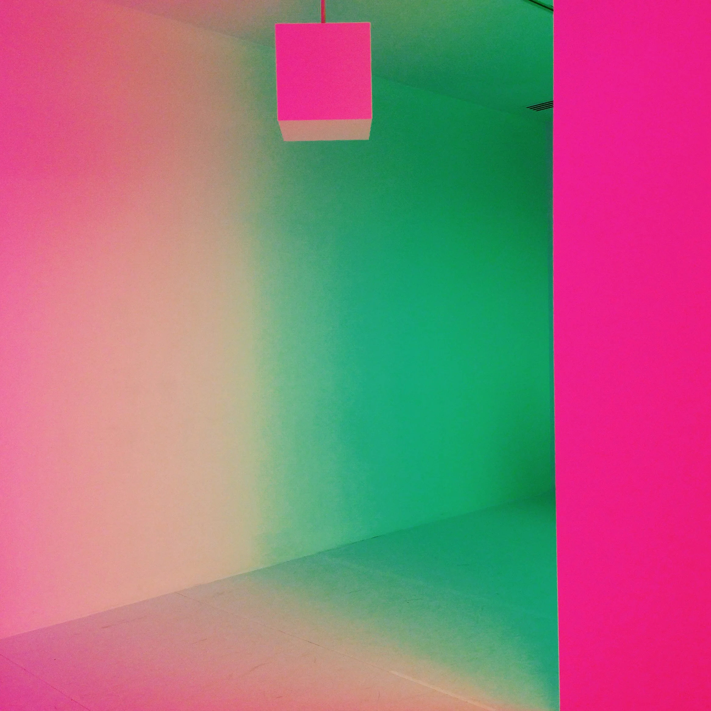 17563618728_e7b937354a_o.jpeg