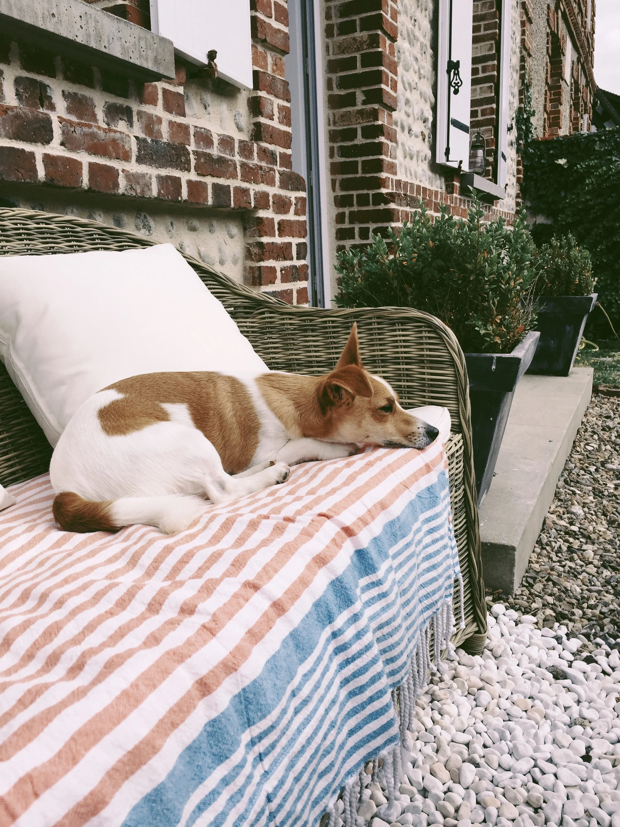 29747114218_c7f2234200_o_VSCO.jpeg