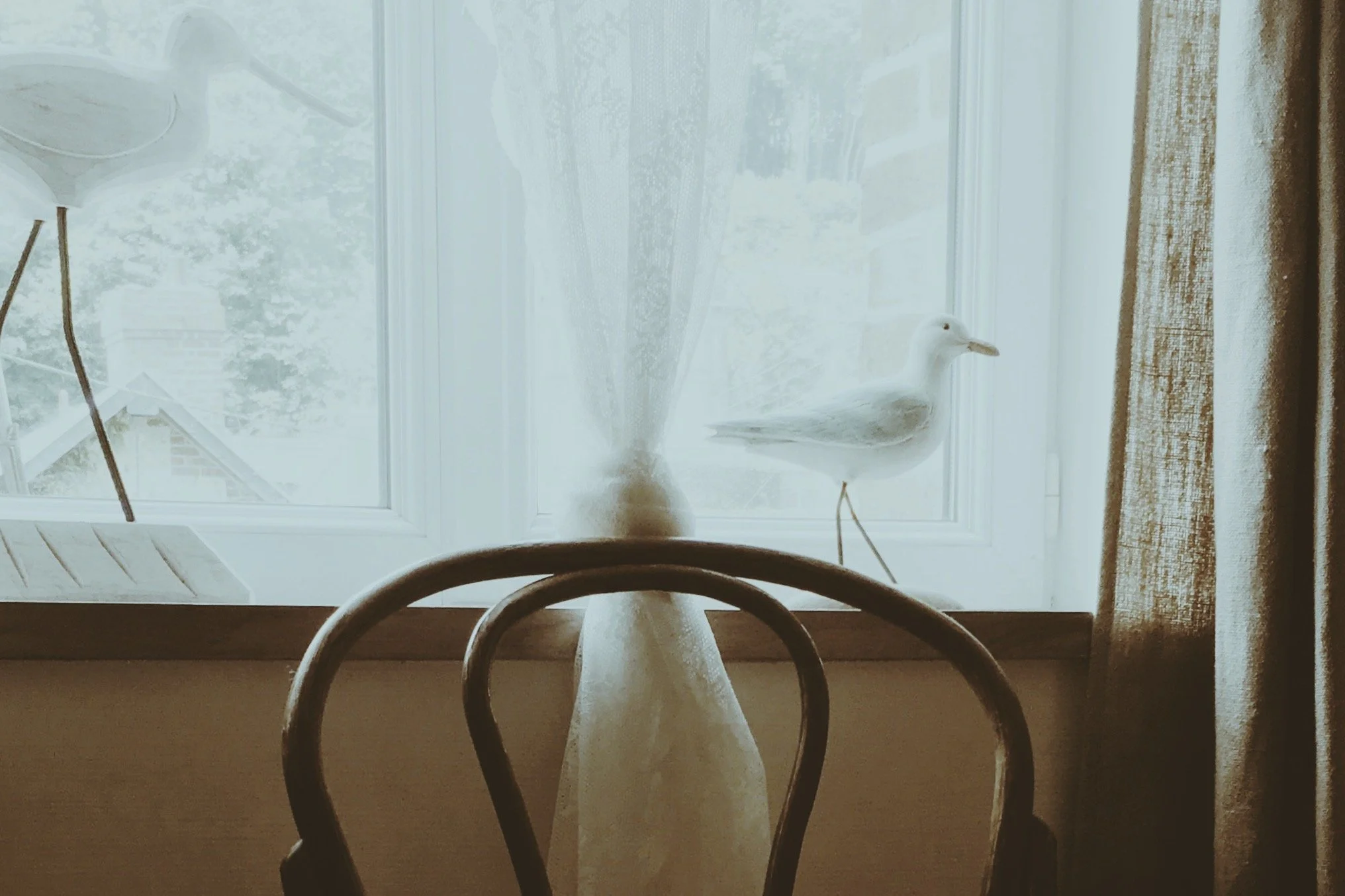 IMG_6063.jpeg