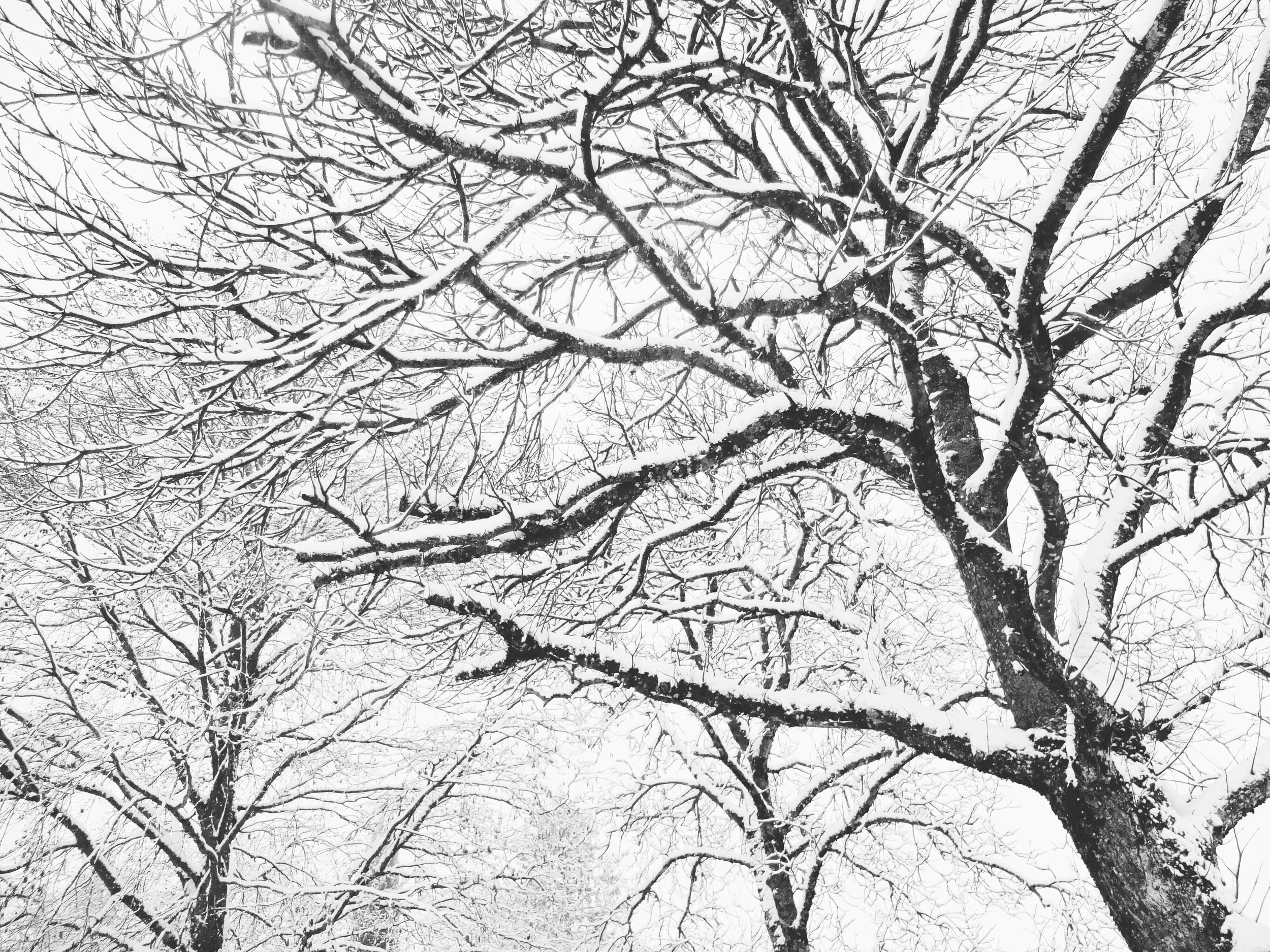 IMG_6097.jpeg