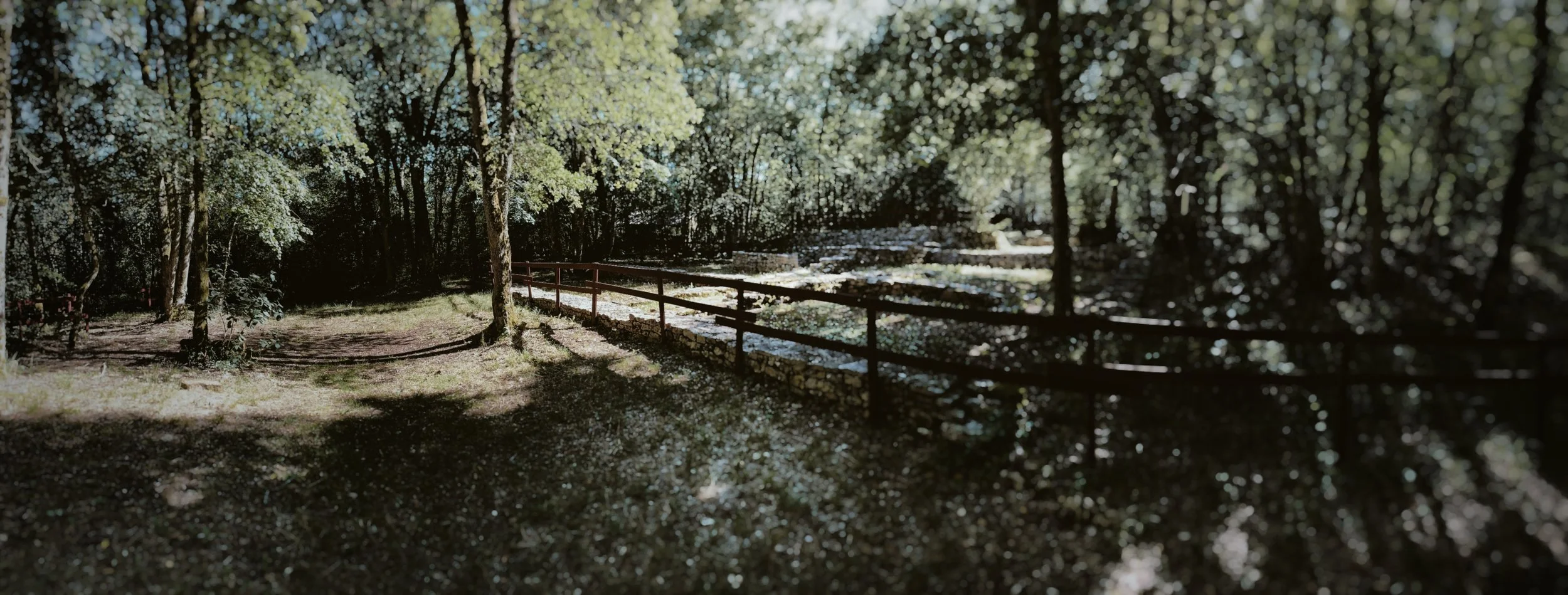 IMG_6112.jpeg