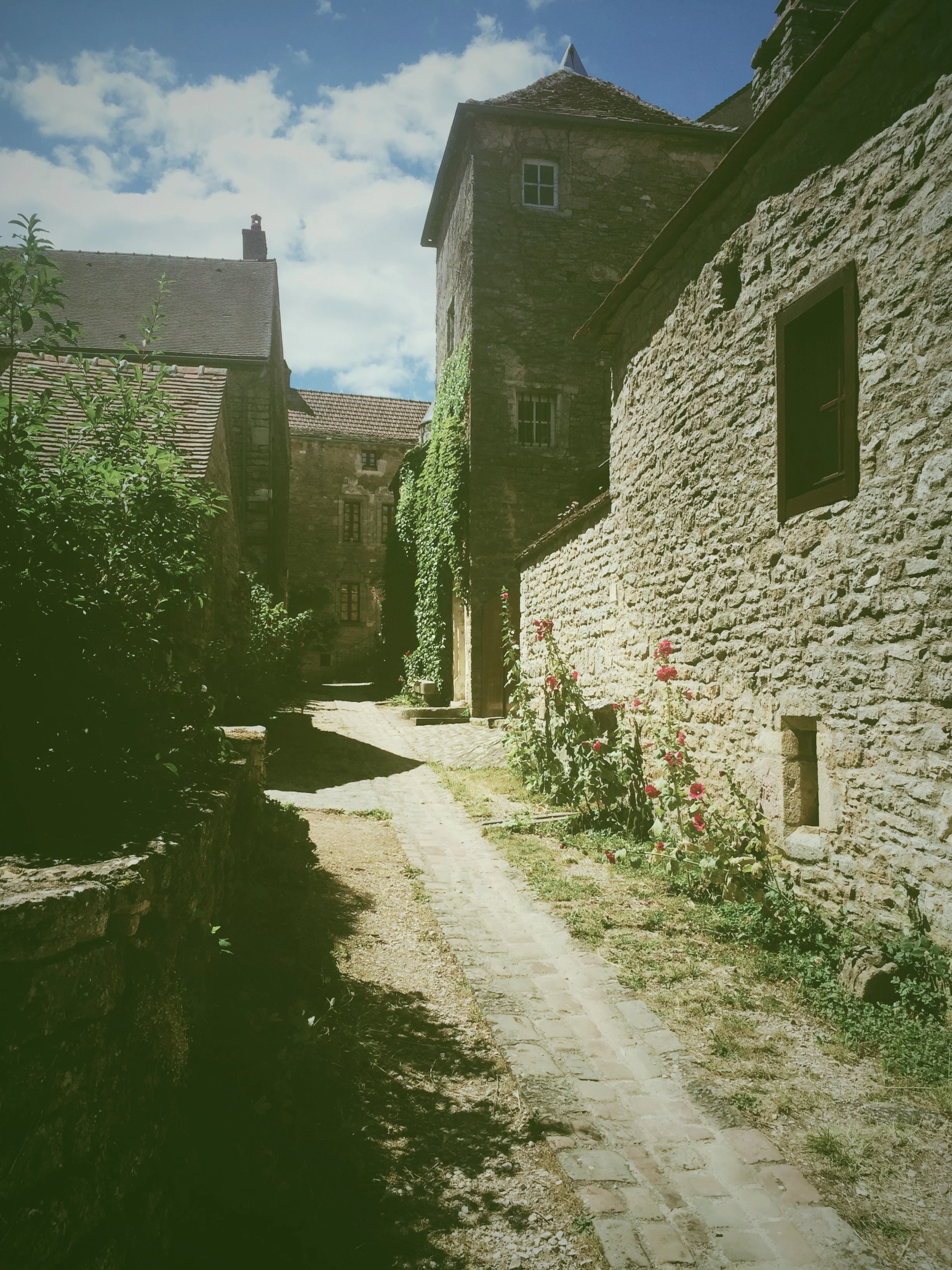 IMG_6131.jpeg