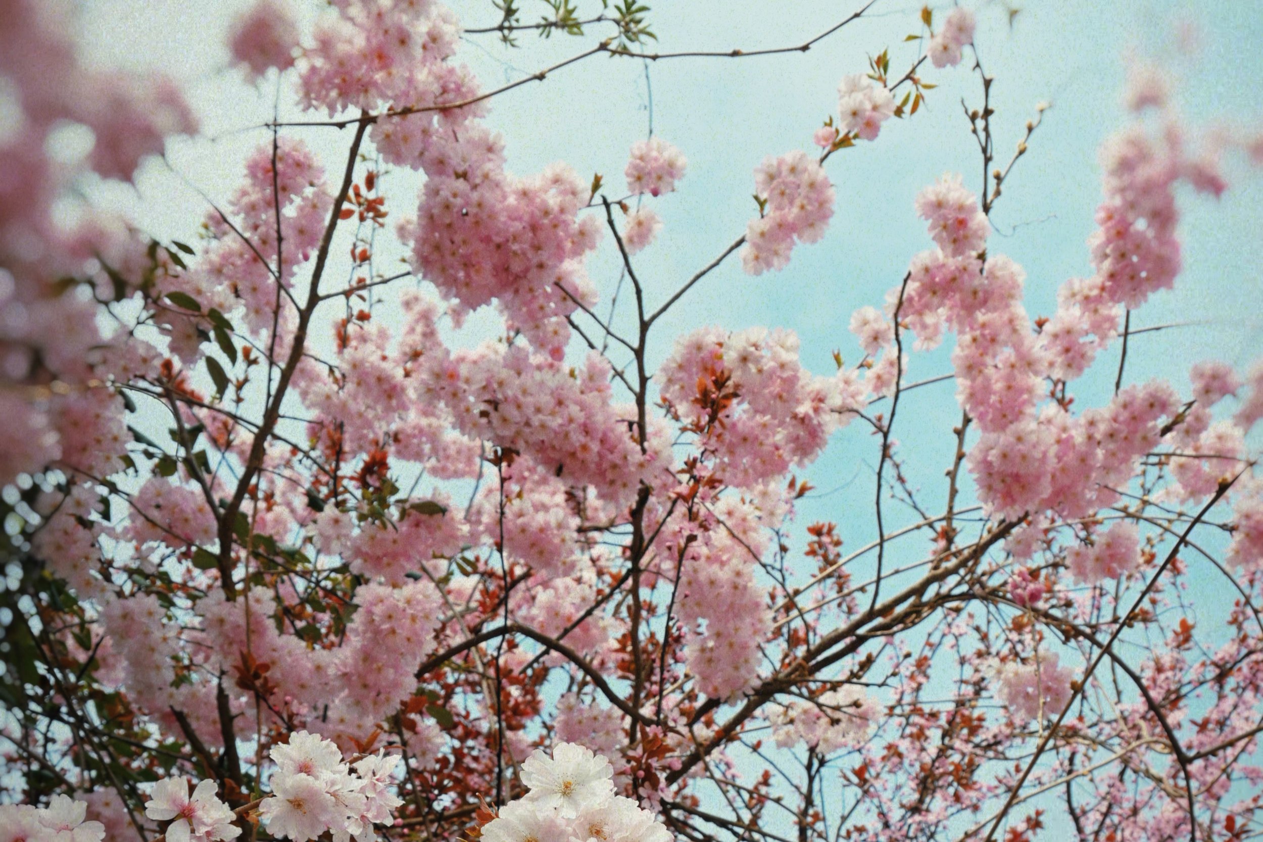 april playlist 🎧