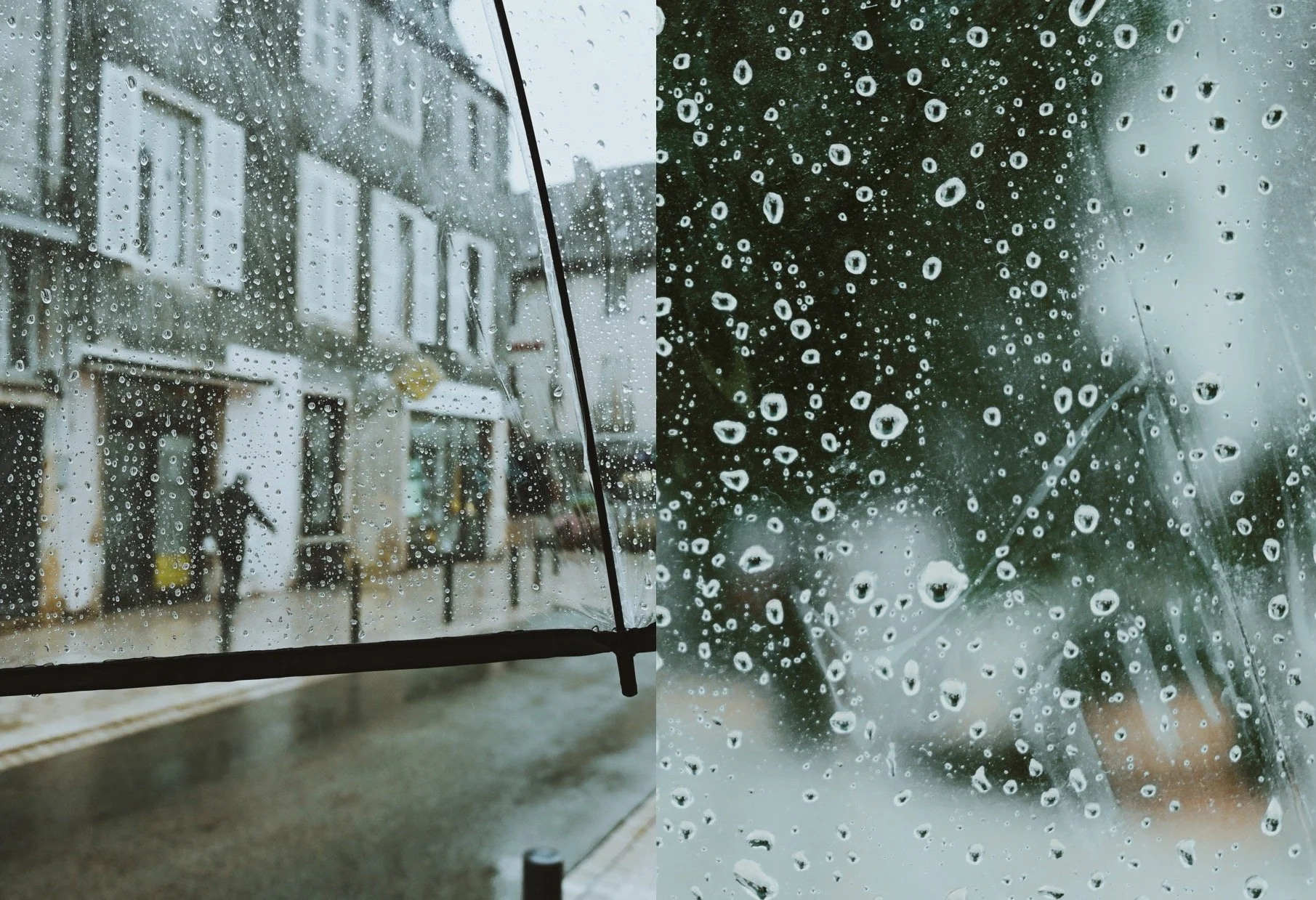 under my umbrella