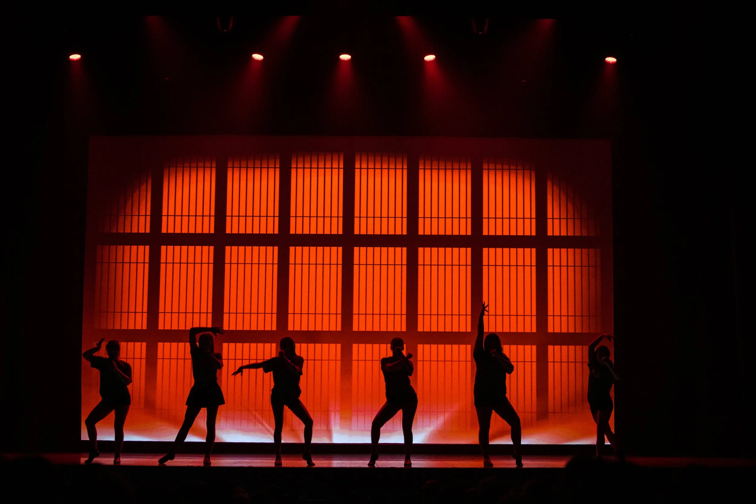 Copy of DN6_7220.jpg