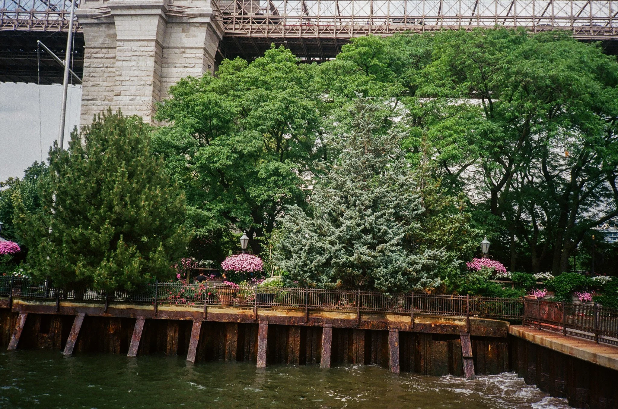 35MM