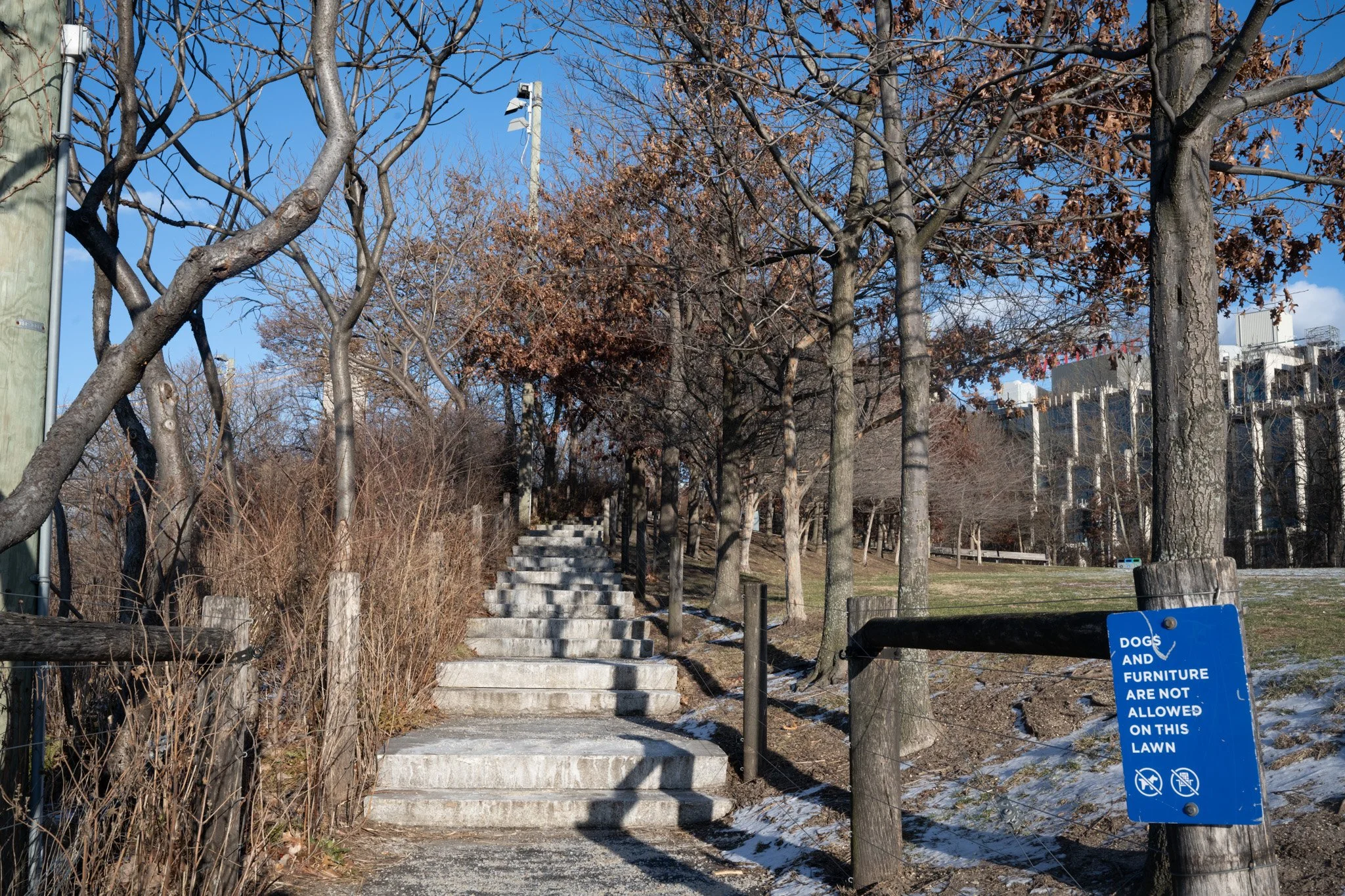 website selects-12.jpg