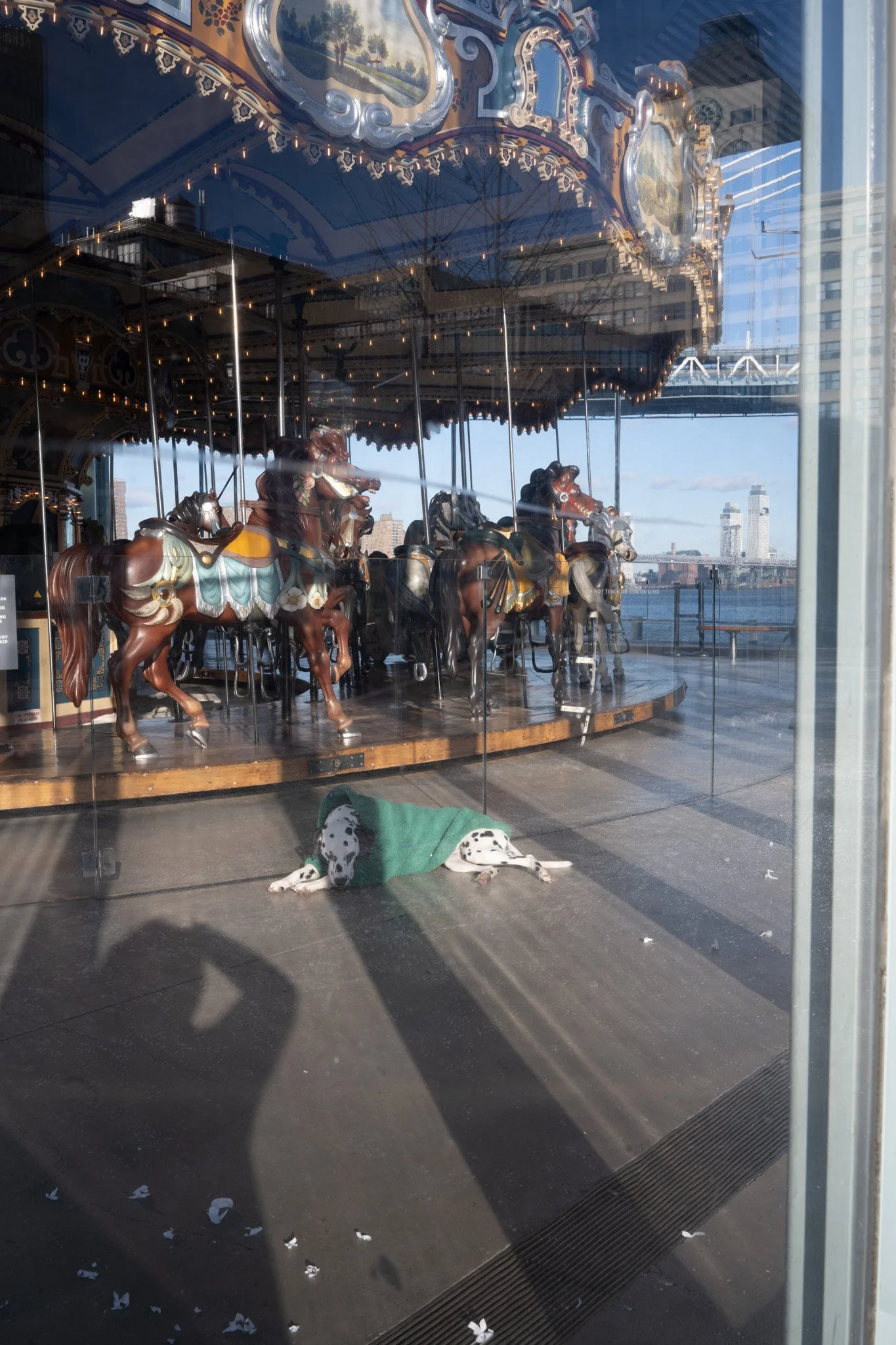 website selects-08.jpg