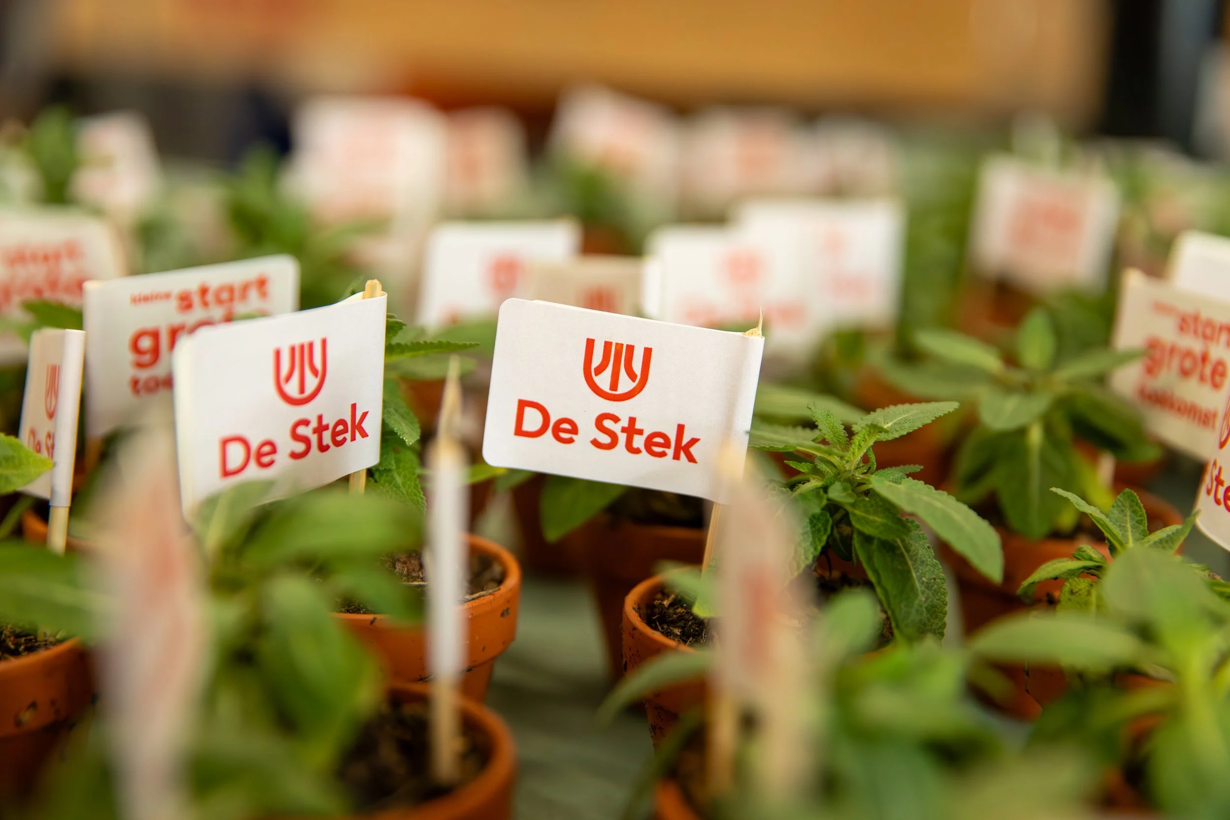 Opening De Stek - Algemeen 26 sept 2025-01.jpg