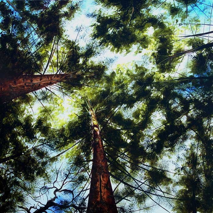 Pinetops
