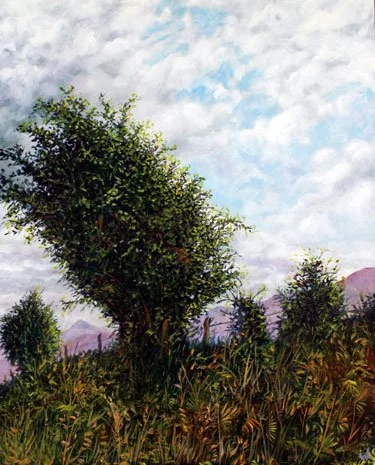 Lying in a Ditch in Summer