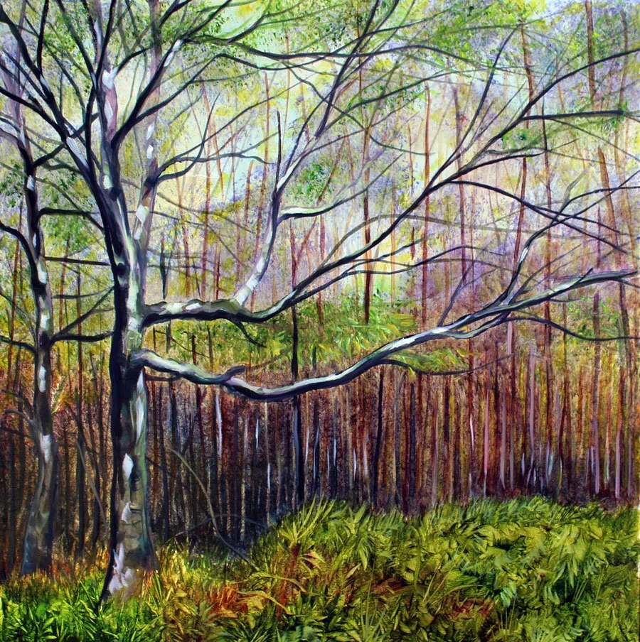 Birch Grove in  Summer