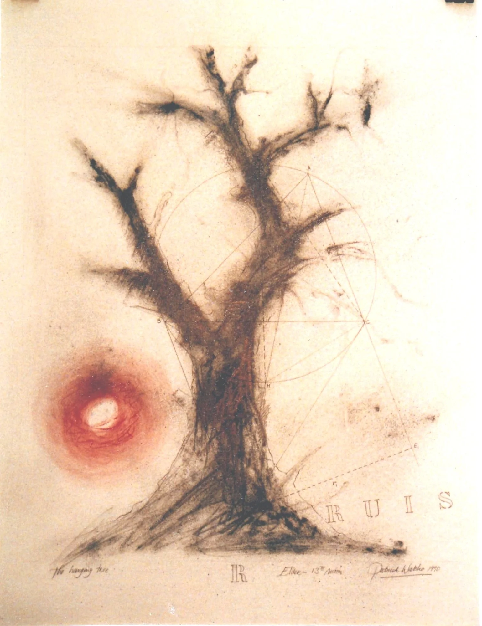 15. Elder