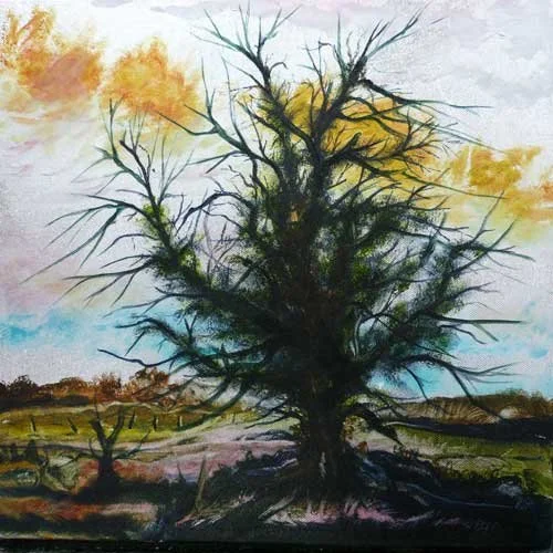 Ivy Tree