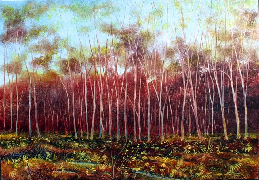 Early Morning in Clara Wood