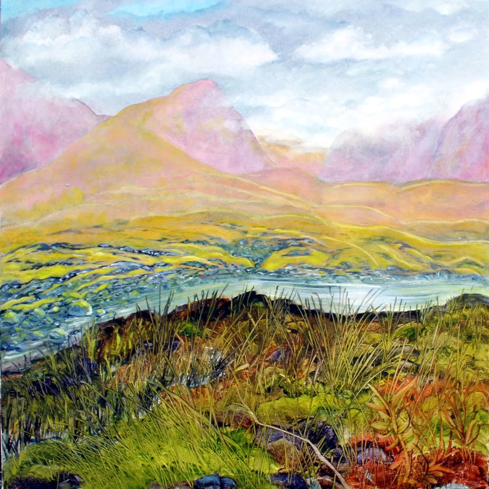 West of Drumrunie