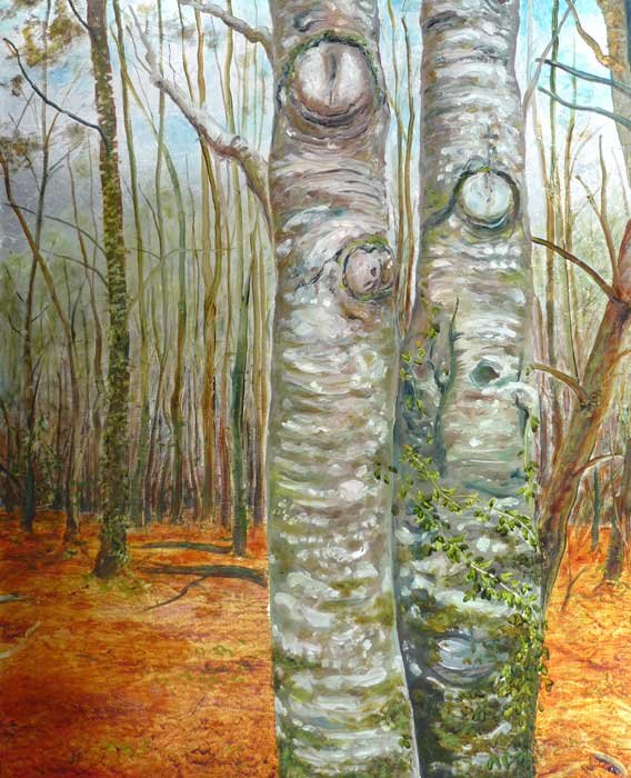 Birch