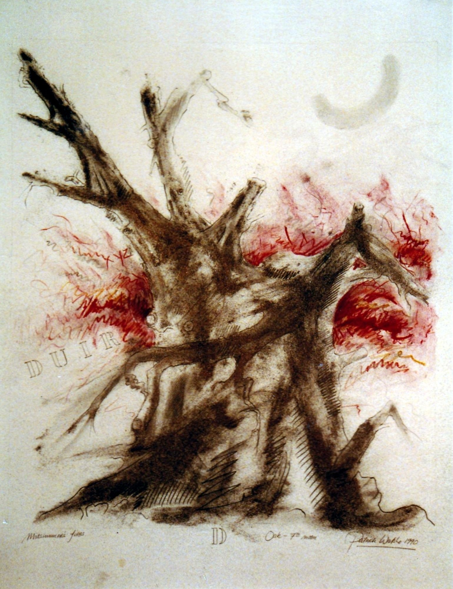 9. Oak